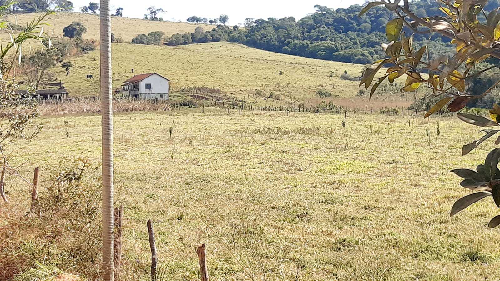 Chácara à venda com 2 quartos, 556600m² - Foto 19