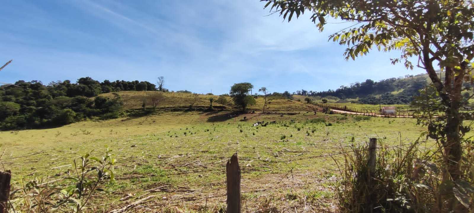 Chácara à venda com 2 quartos, 556600m² - Foto 12