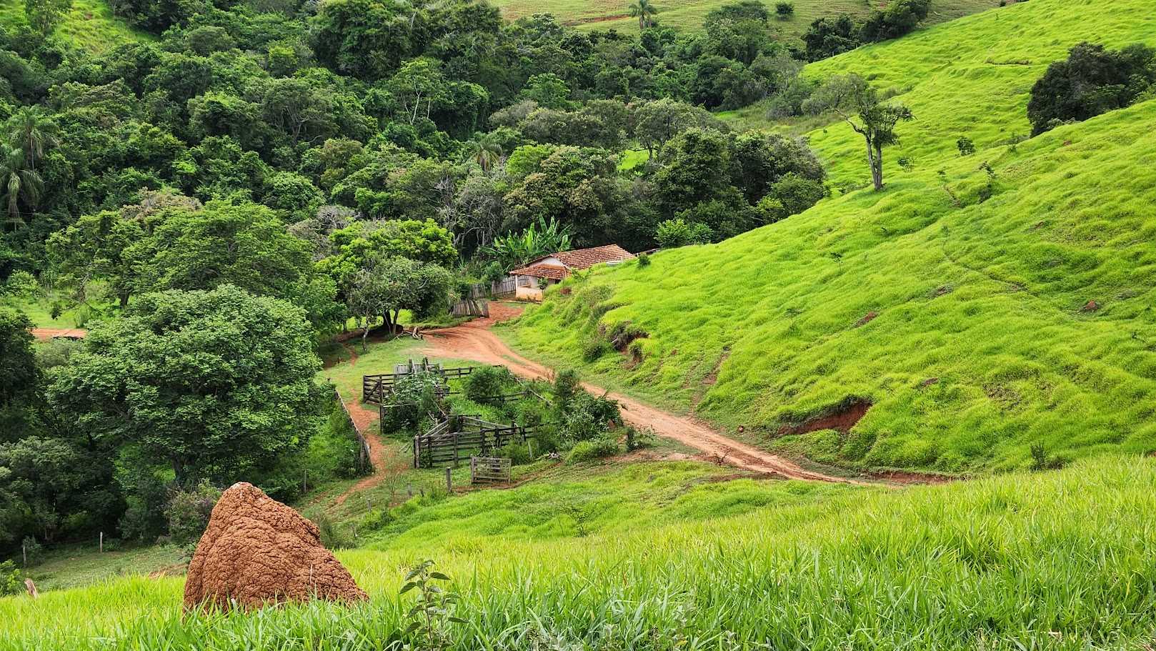 Chácara à venda com 1 quarto, 733000m² - Foto 16