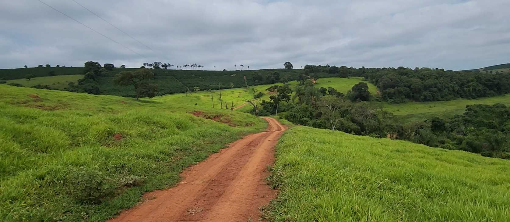 Chácara à venda com 1 quarto, 733000m² - Foto 19