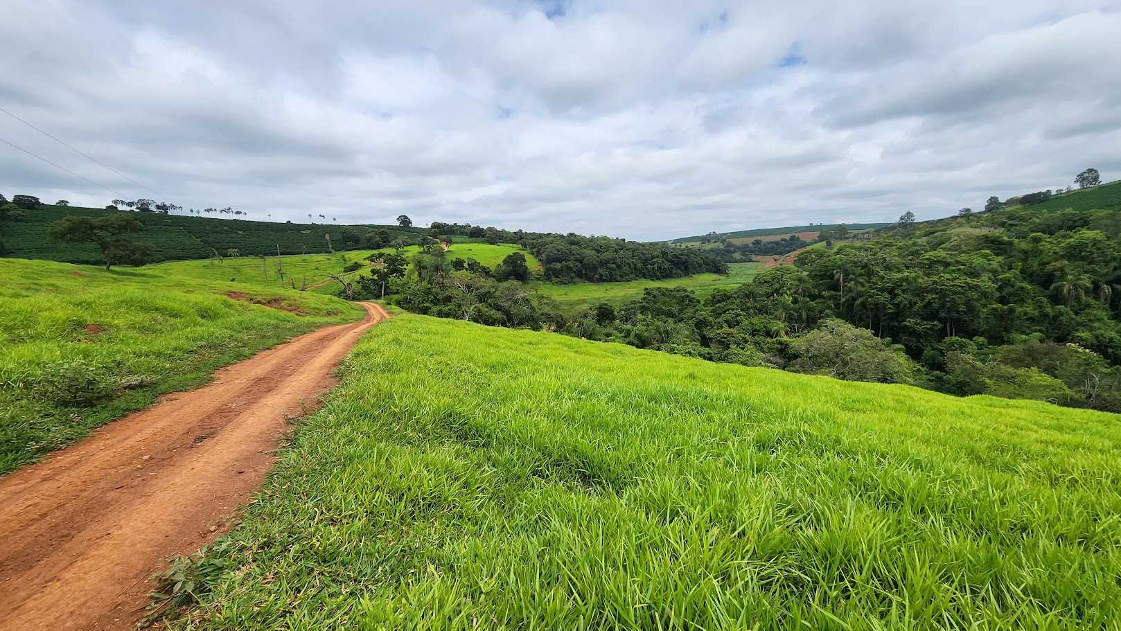 Chácara à venda com 1 quarto, 733000m² - Foto 11