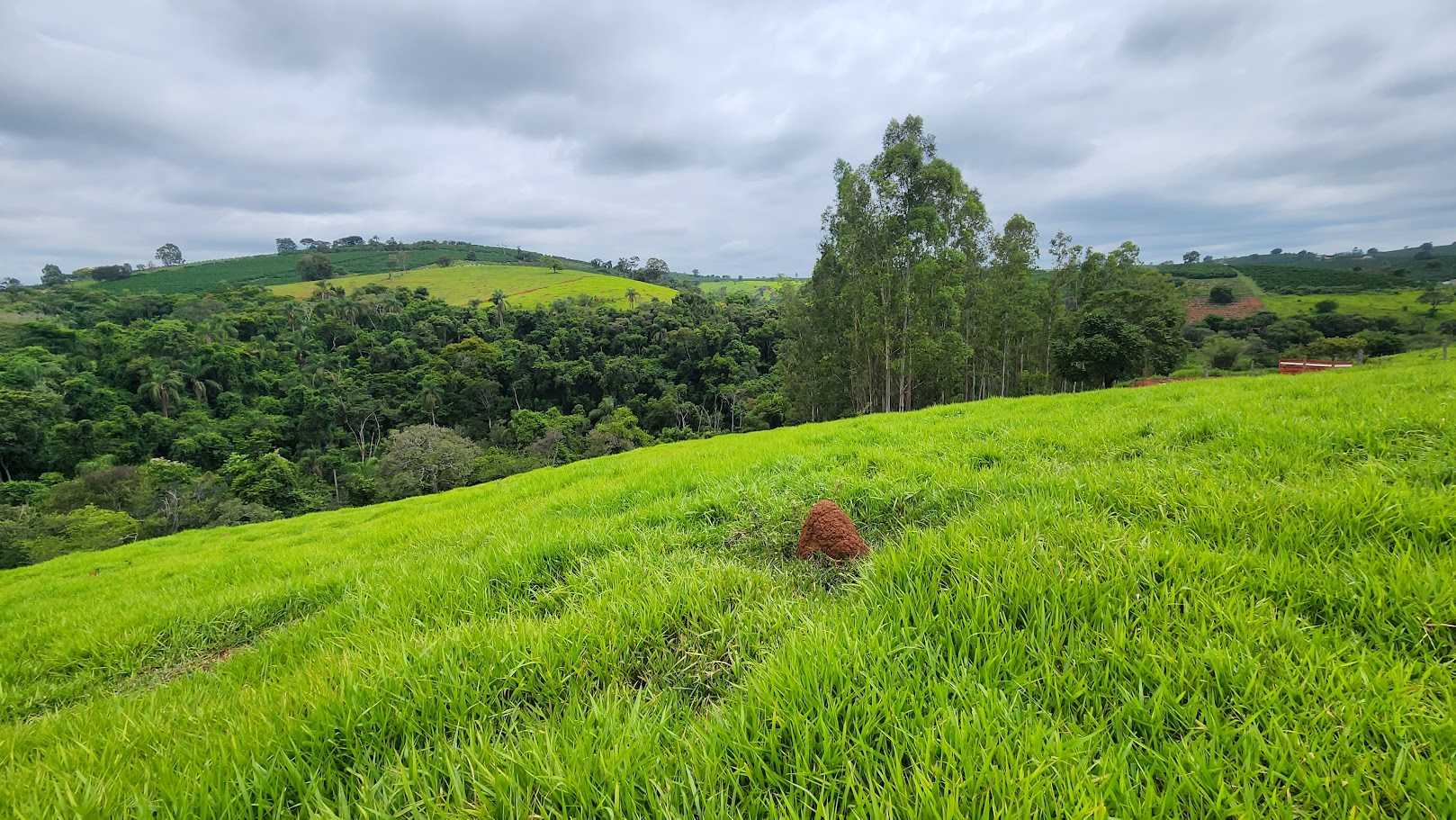 Chácara à venda com 1 quarto, 733000m² - Foto 9