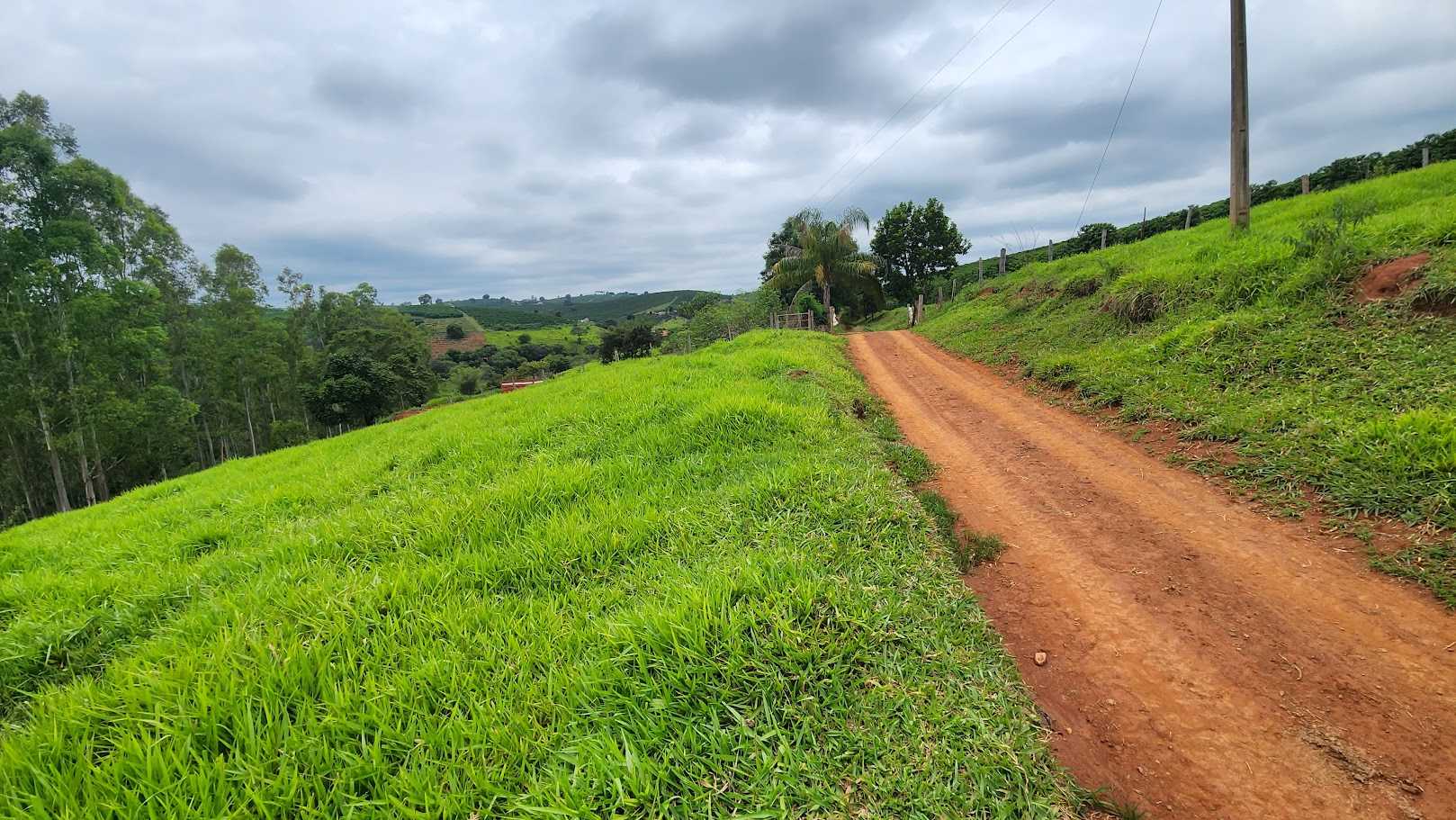 Chácara à venda com 1 quarto, 733000m² - Foto 7