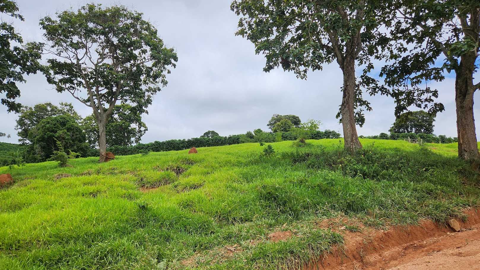 Chácara à venda com 1 quarto, 733000m² - Foto 4