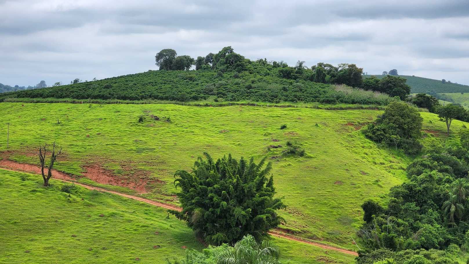 Chácara à venda com 1 quarto, 733000m² - Foto 1