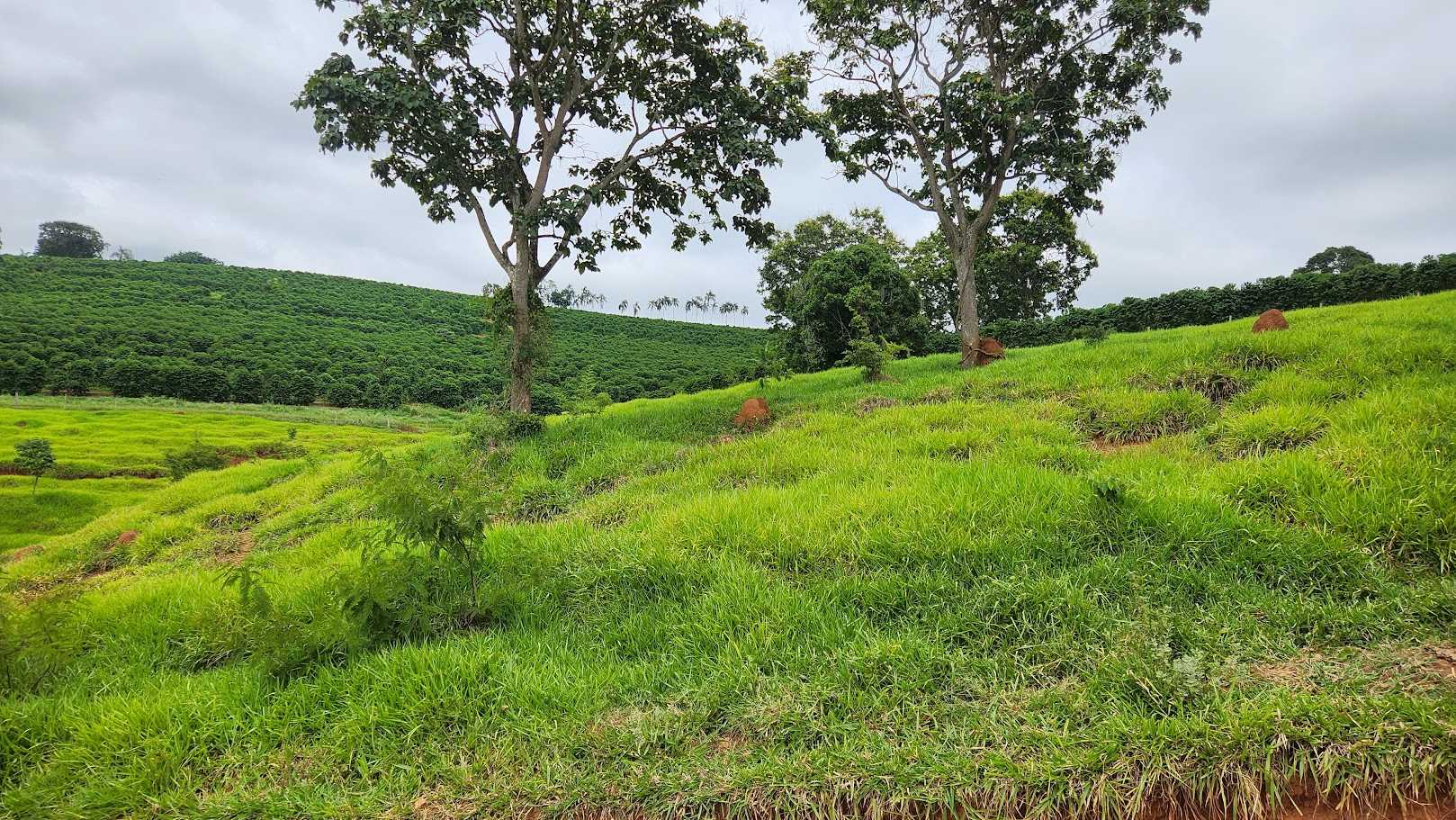 Chácara à venda com 1 quarto, 733000m² - Foto 3