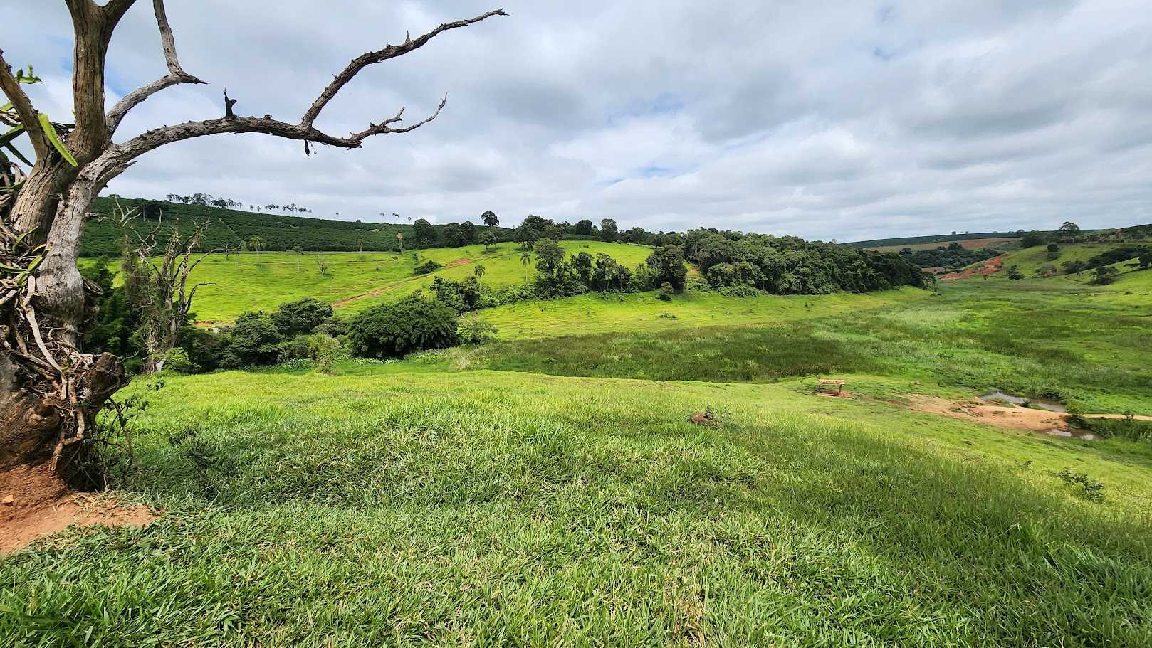 Chácara à venda com 1 quarto, 733000m² - Foto 13