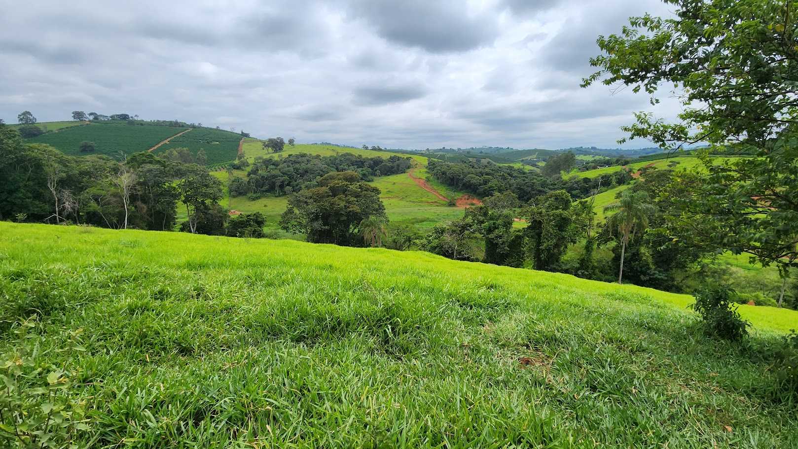 Chácara à venda com 1 quarto, 733000m² - Foto 14