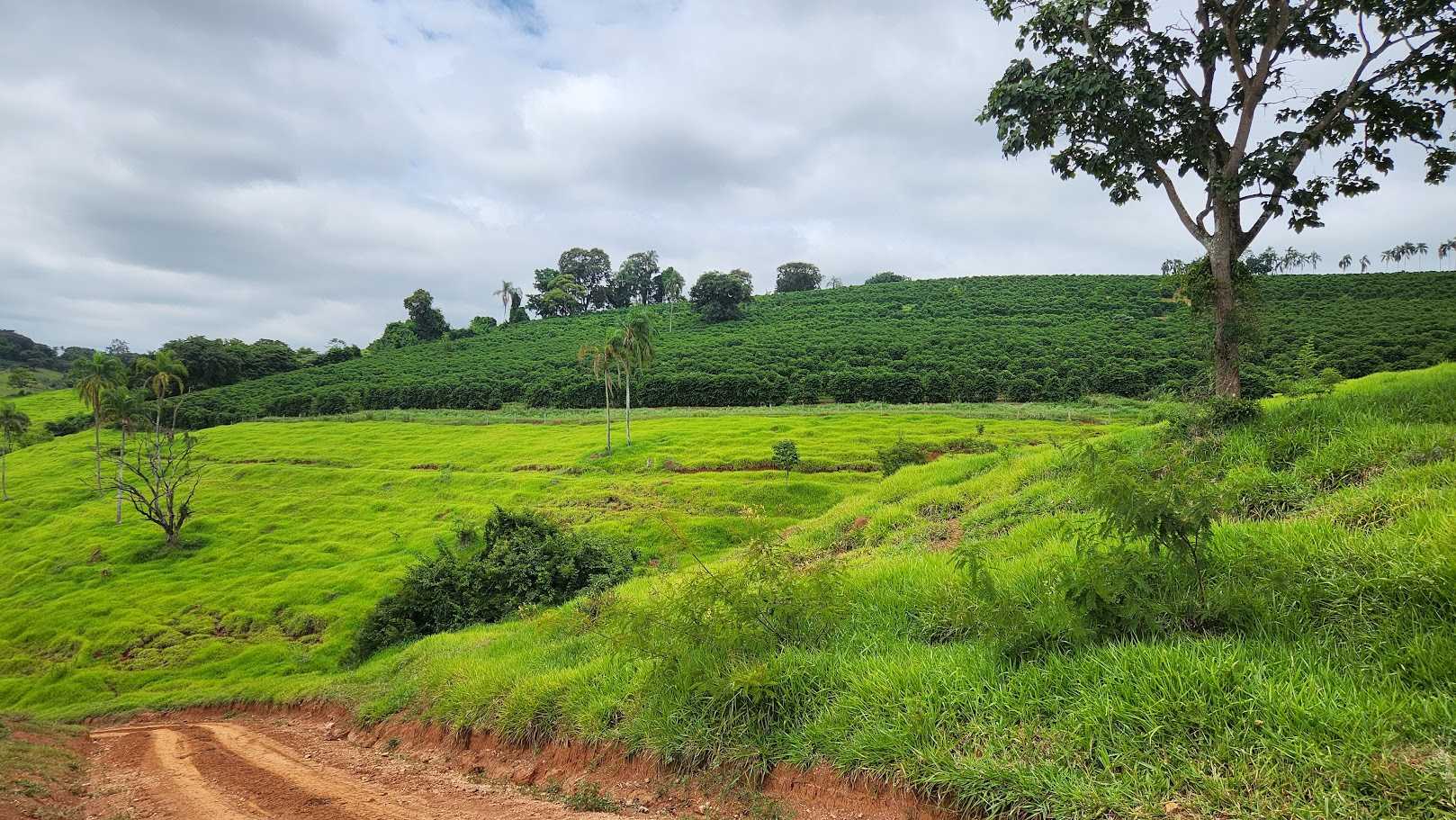 Chácara à venda com 1 quarto, 733000m² - Foto 2