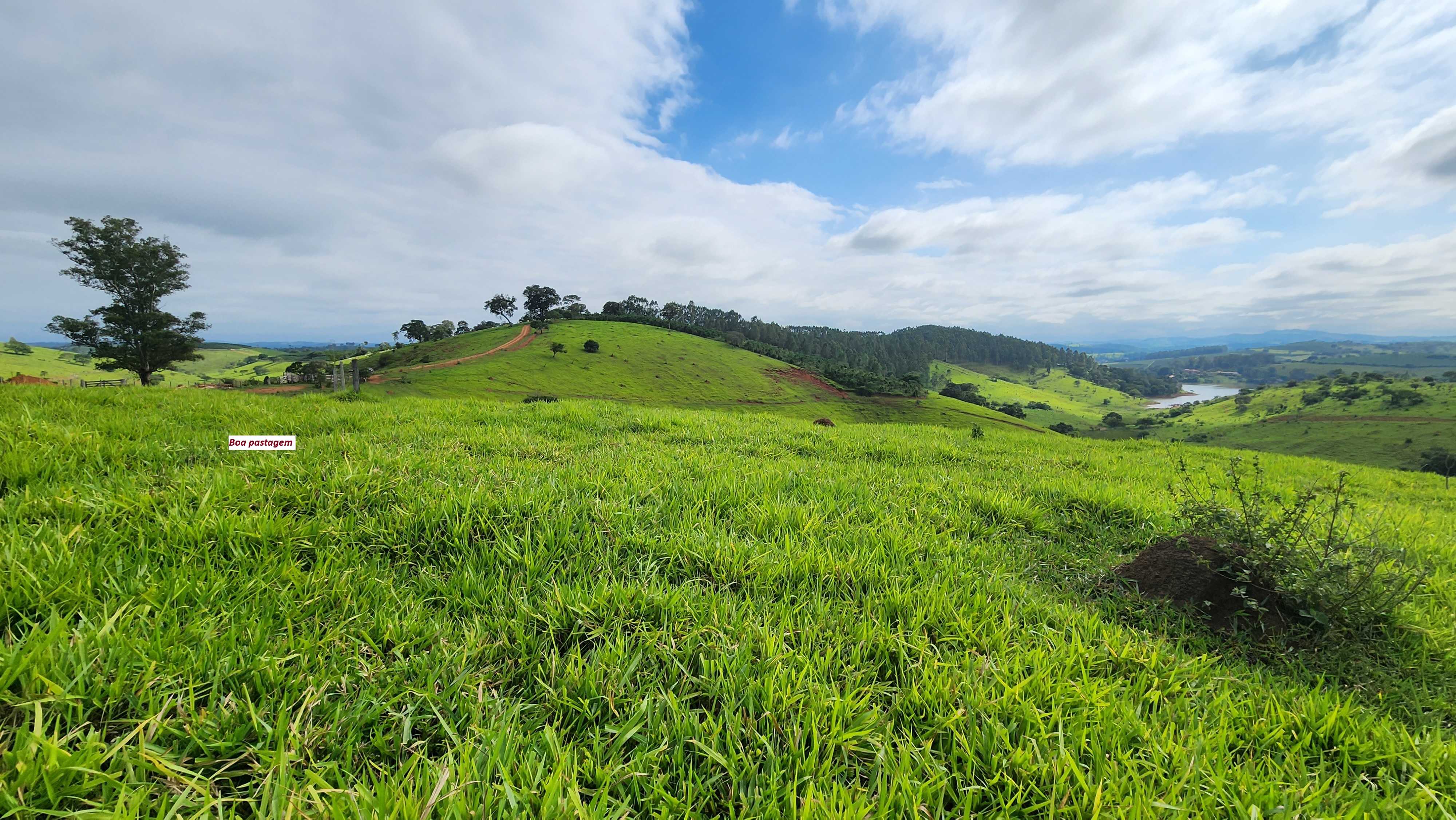 Chácara à venda com 1 quarto, 2420000m² - Foto 2