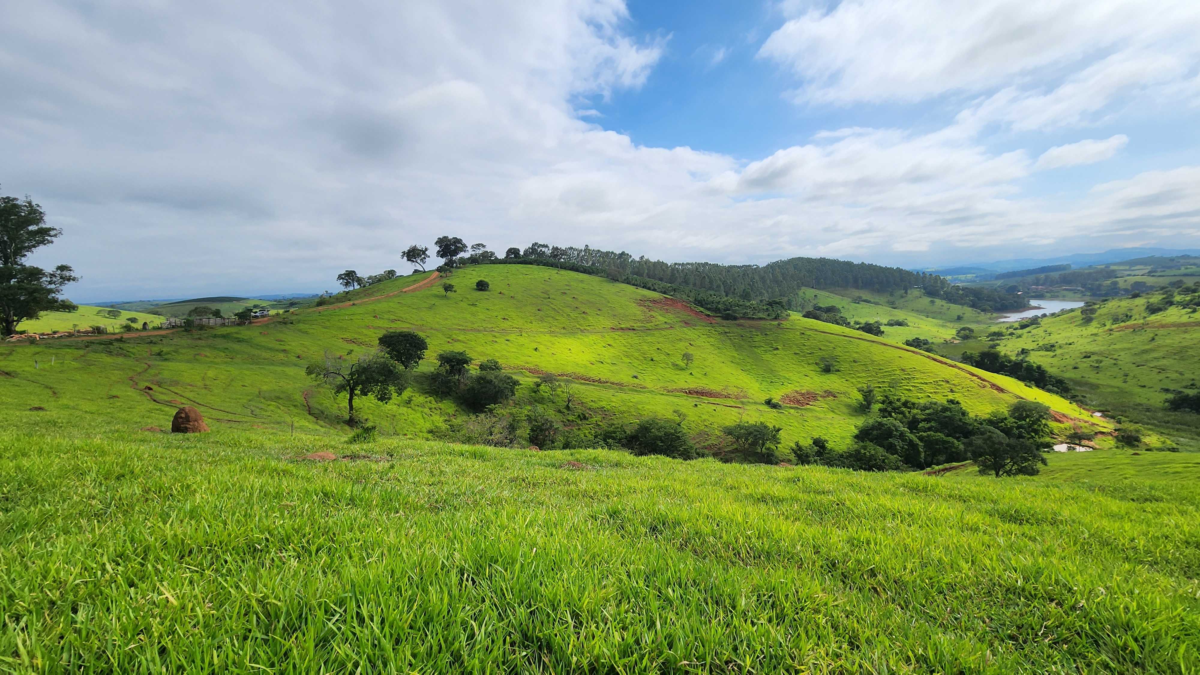 Chácara à venda com 1 quarto, 2420000m² - Foto 4