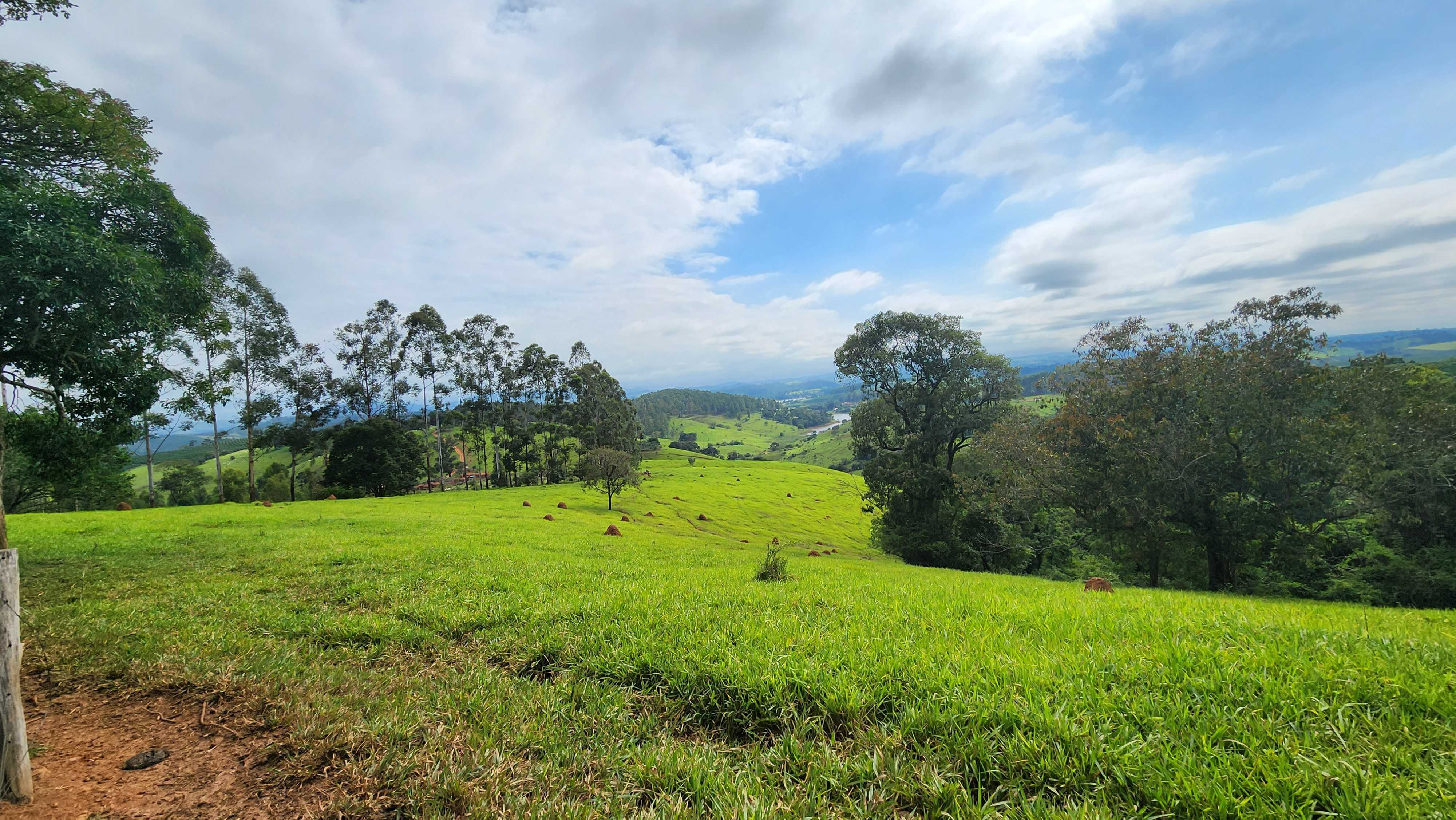 Chácara à venda com 1 quarto, 2420000m² - Foto 11