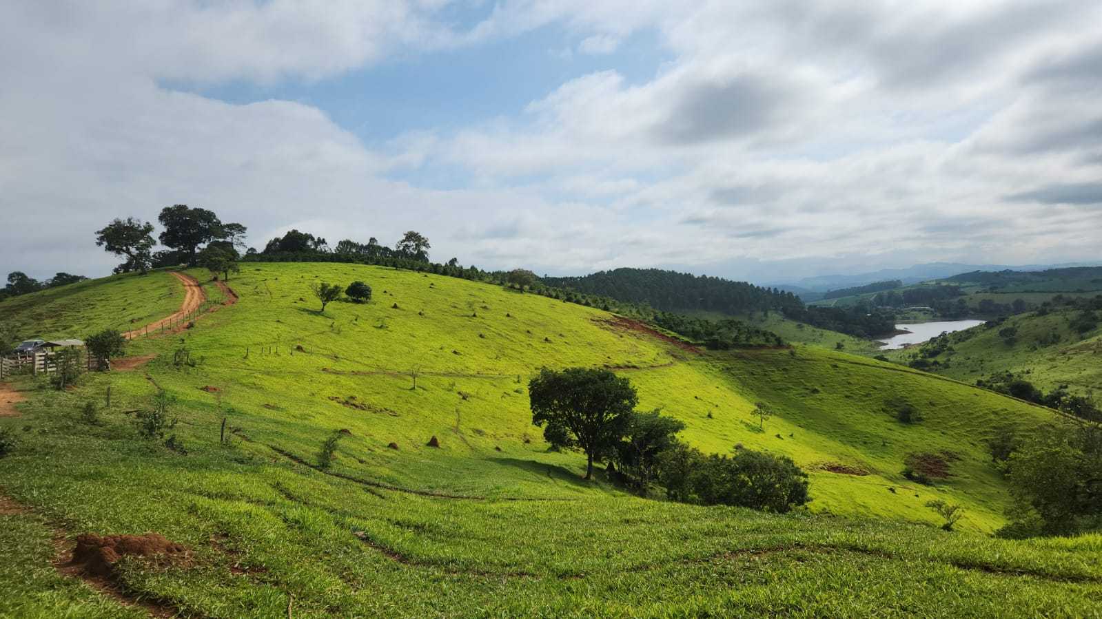 Chácara à venda com 1 quarto, 2420000m² - Foto 10