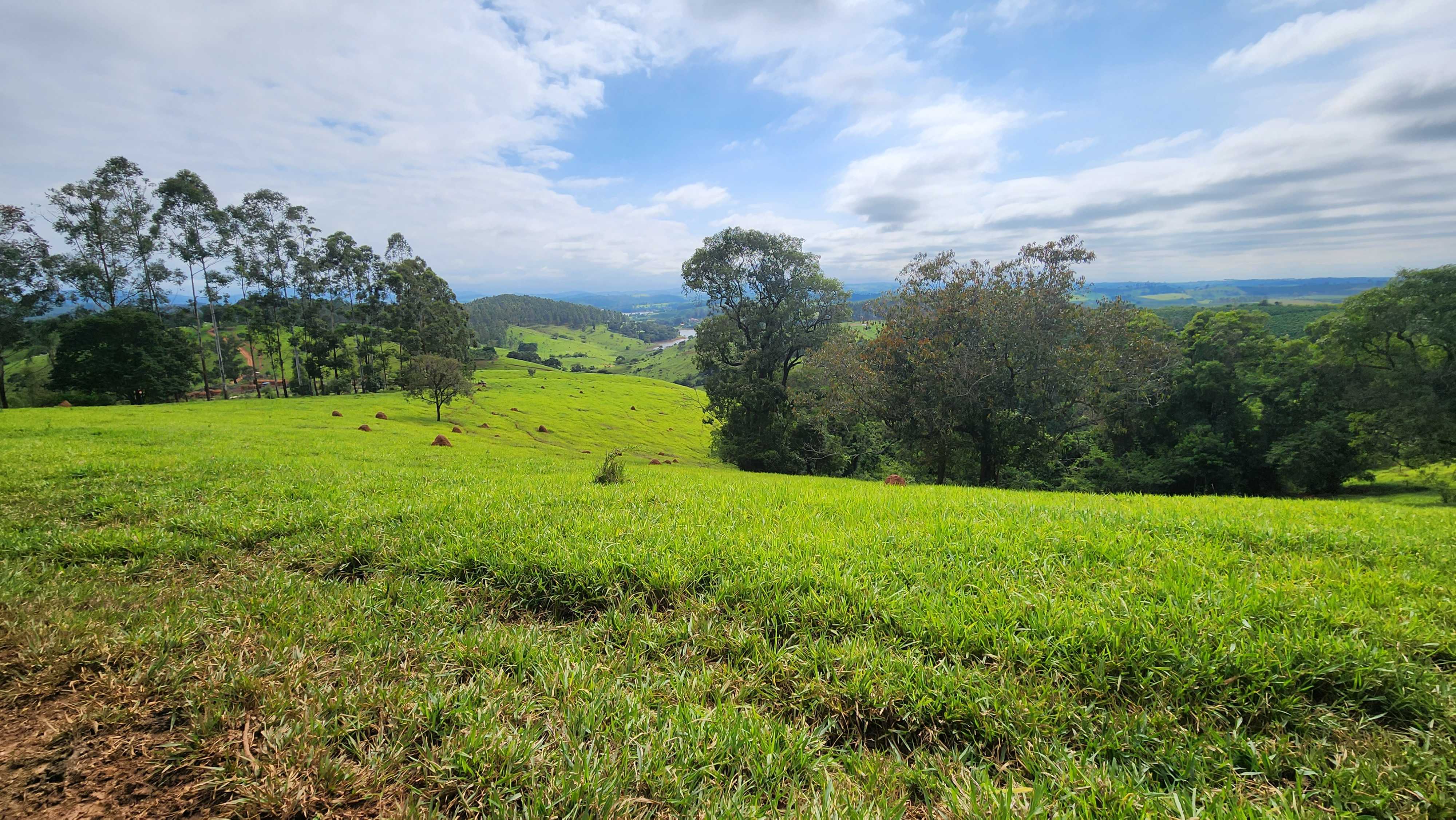 Chácara à venda com 1 quarto, 2420000m² - Foto 7