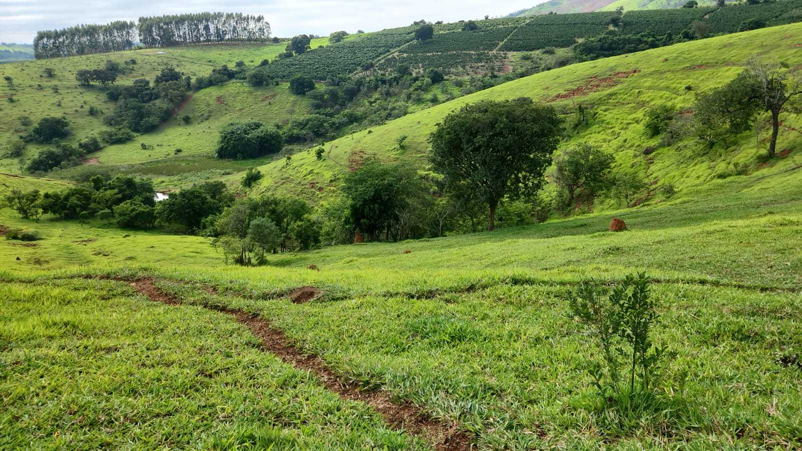 Chácara à venda com 1 quarto, 2420000m² - Foto 12