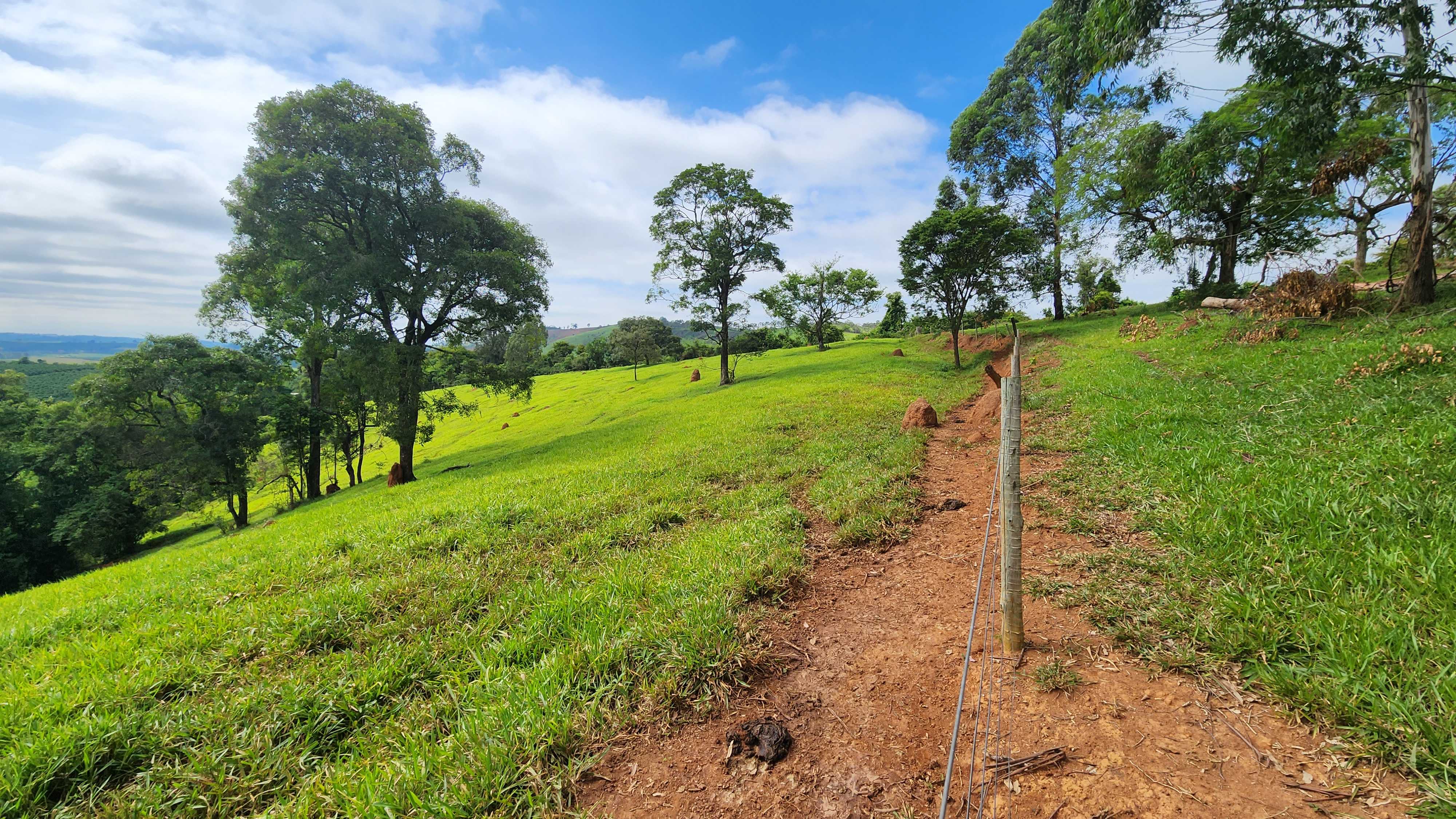 Chácara à venda com 1 quarto, 2420000m² - Foto 6