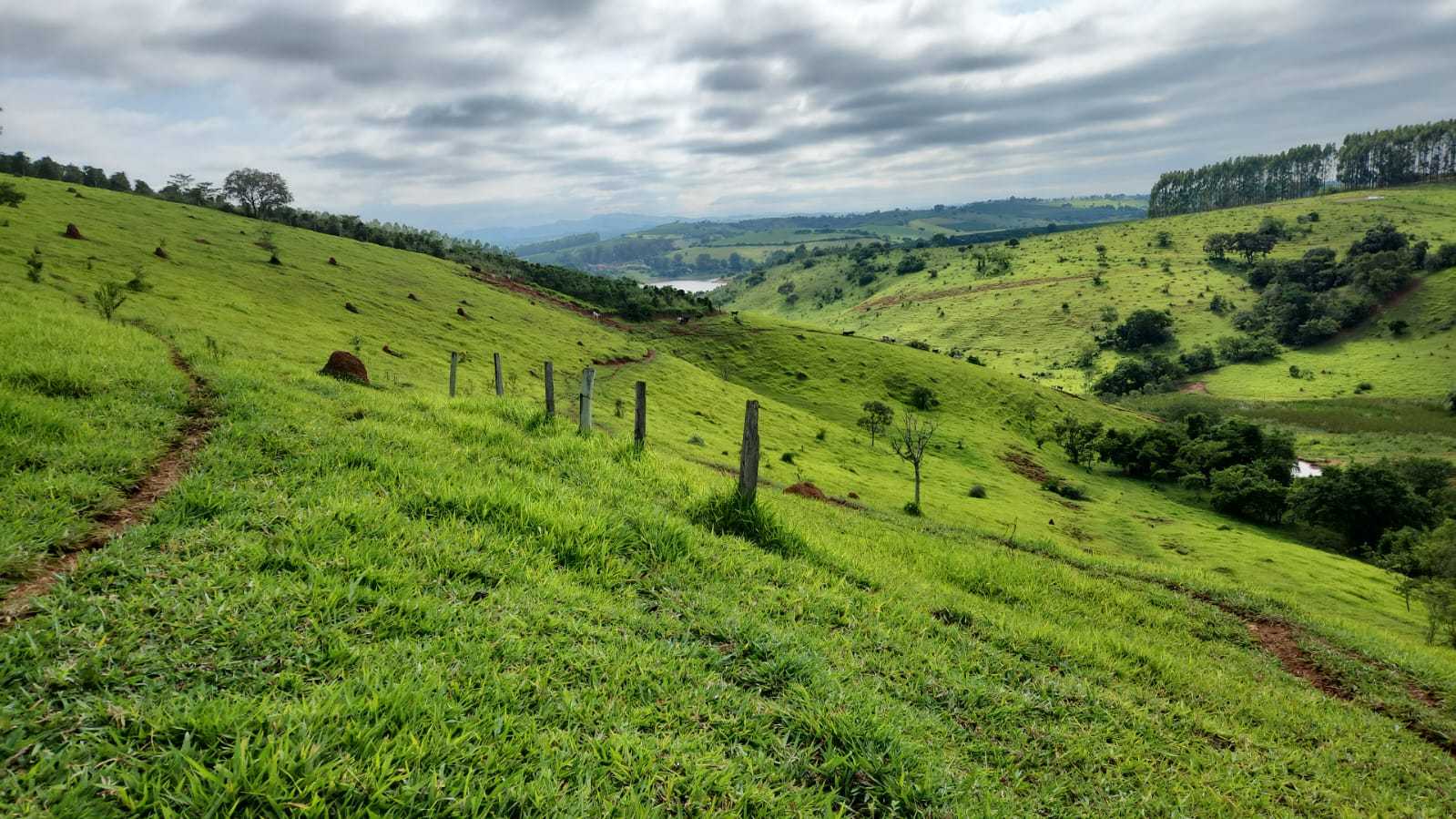 Chácara à venda com 1 quarto, 2420000m² - Foto 13