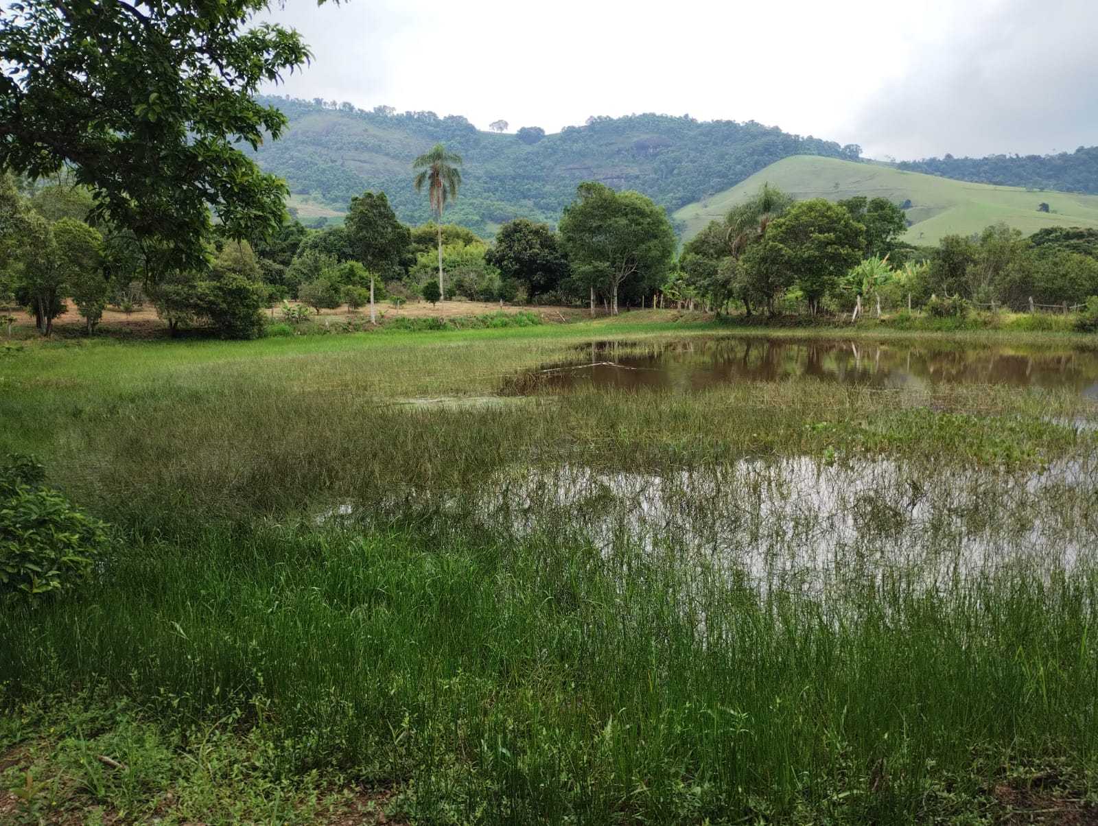 Chácara à venda com 3 quartos, 411400m² - Foto 17