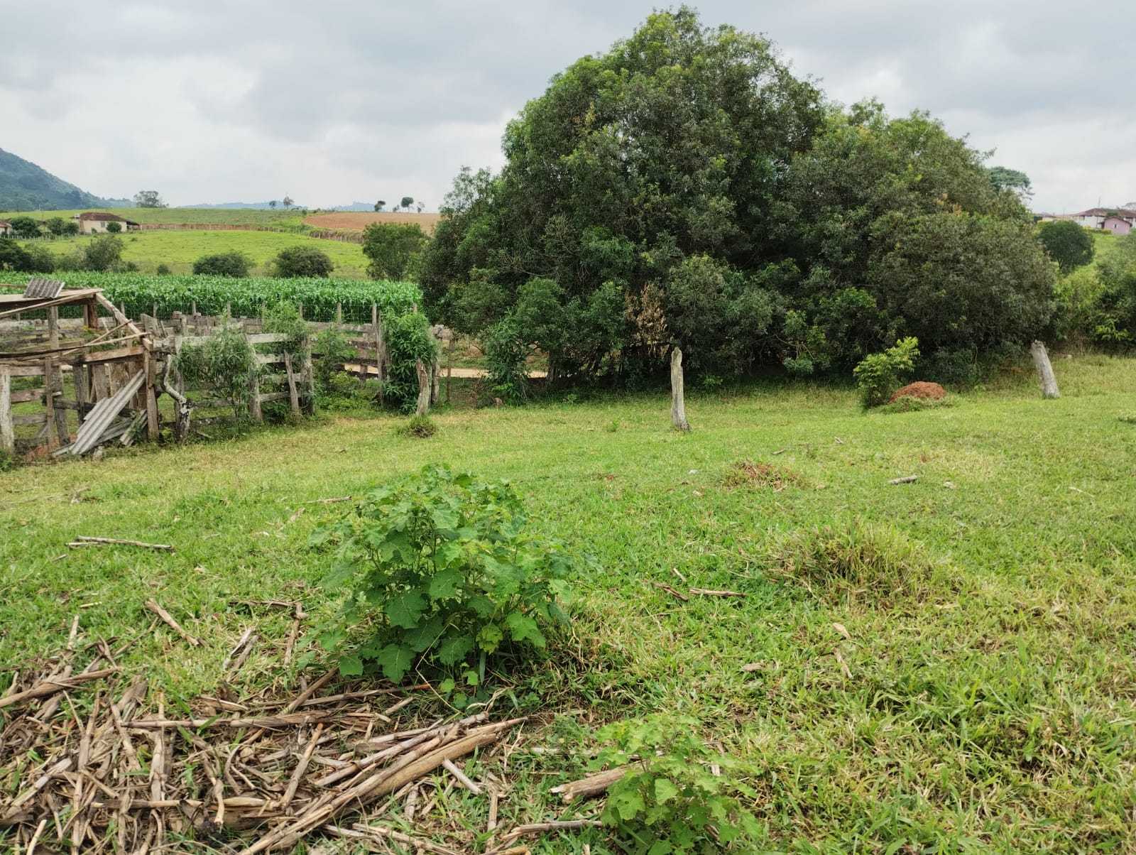 Chácara à venda com 3 quartos, 411400m² - Foto 15