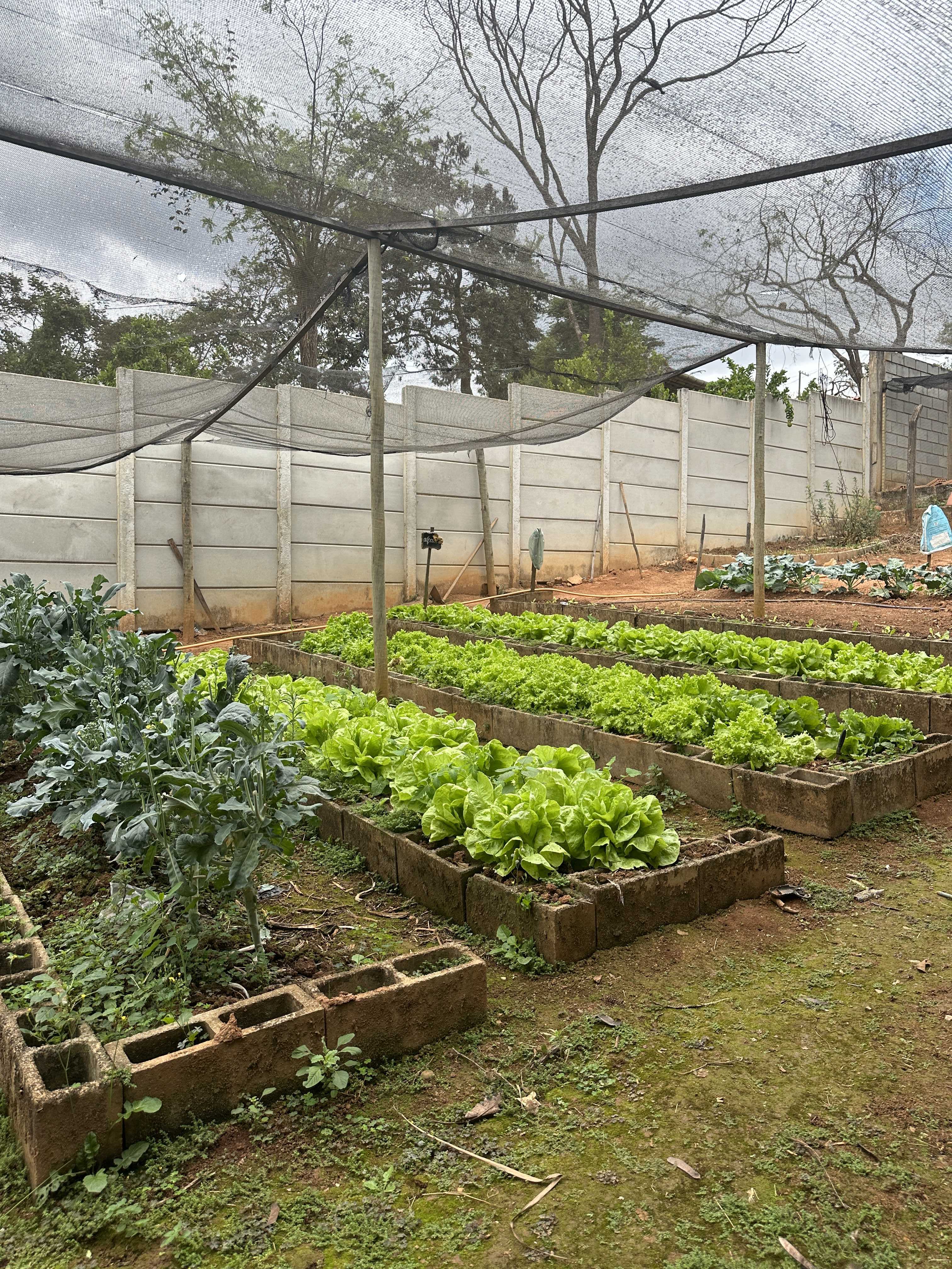 Chácara para alugar com 3 quartos, 200m² - Foto 9