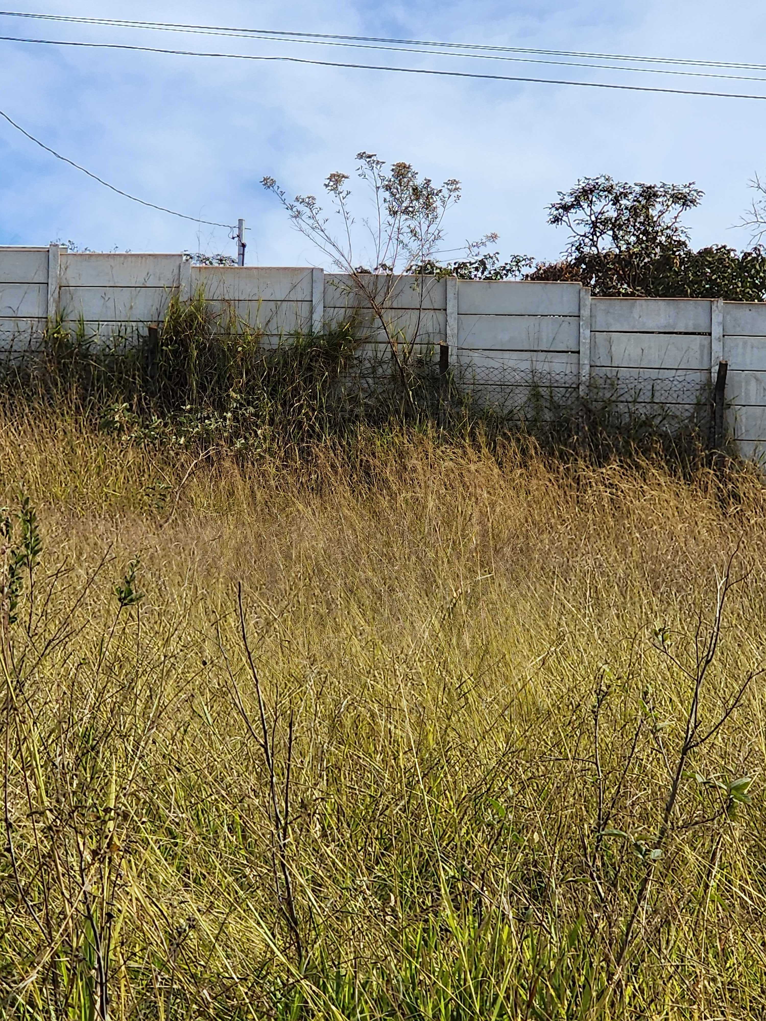 Terreno à venda, 1000m² - Foto 5