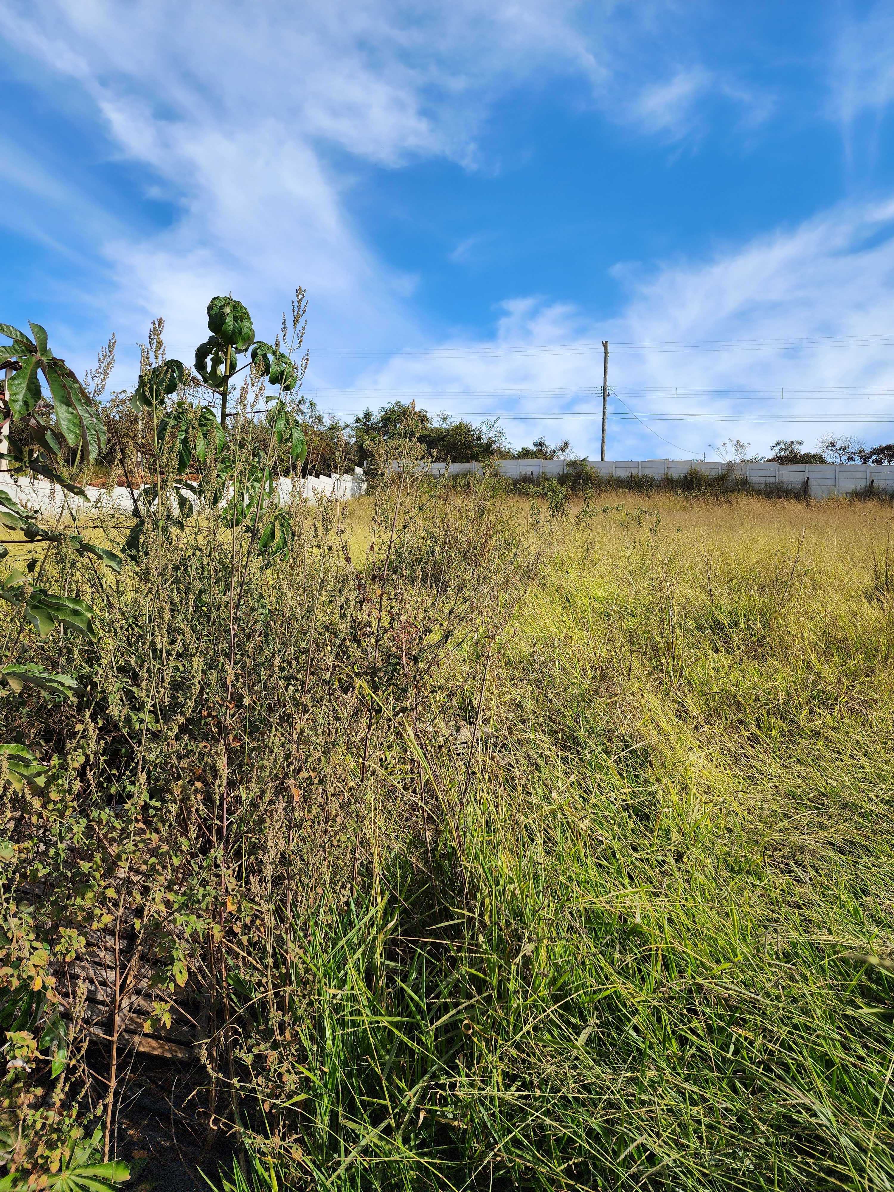 Terreno à venda, 1000m² - Foto 4