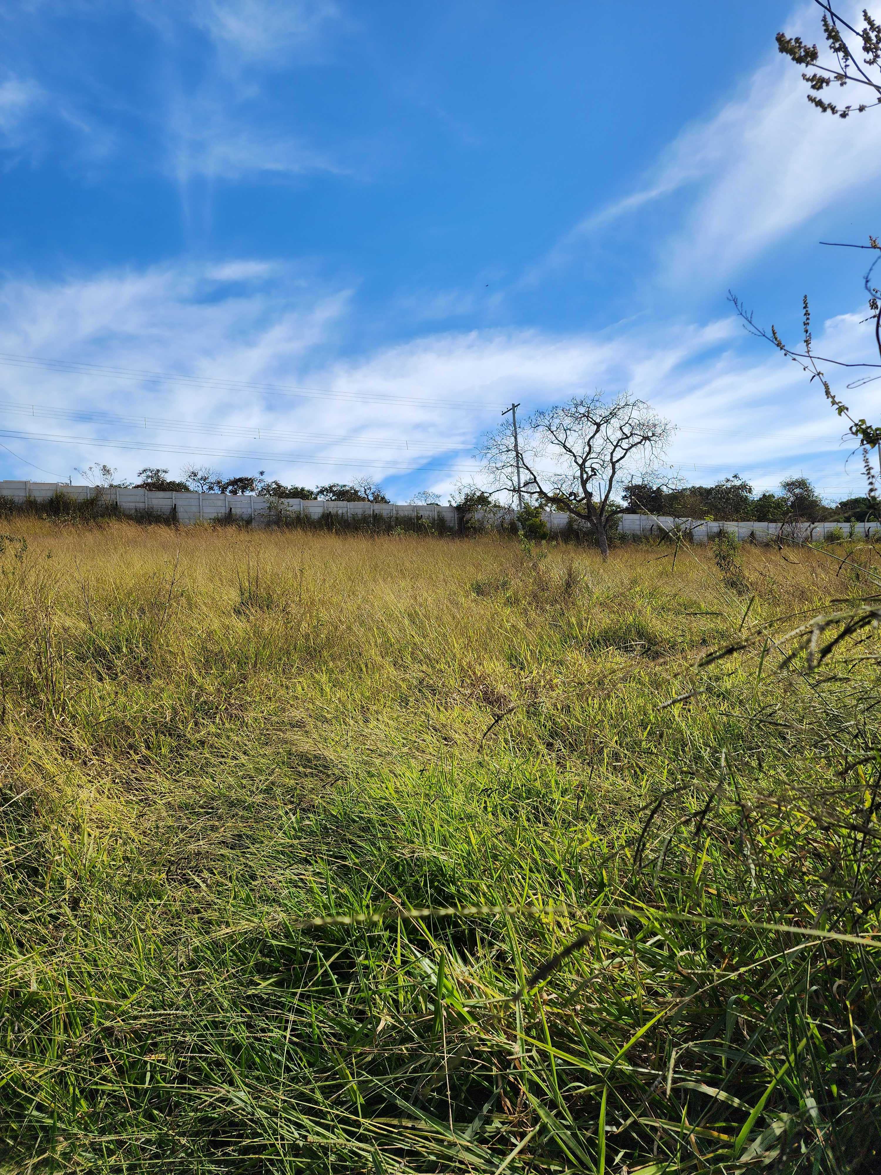 Terreno à venda, 1000m² - Foto 3