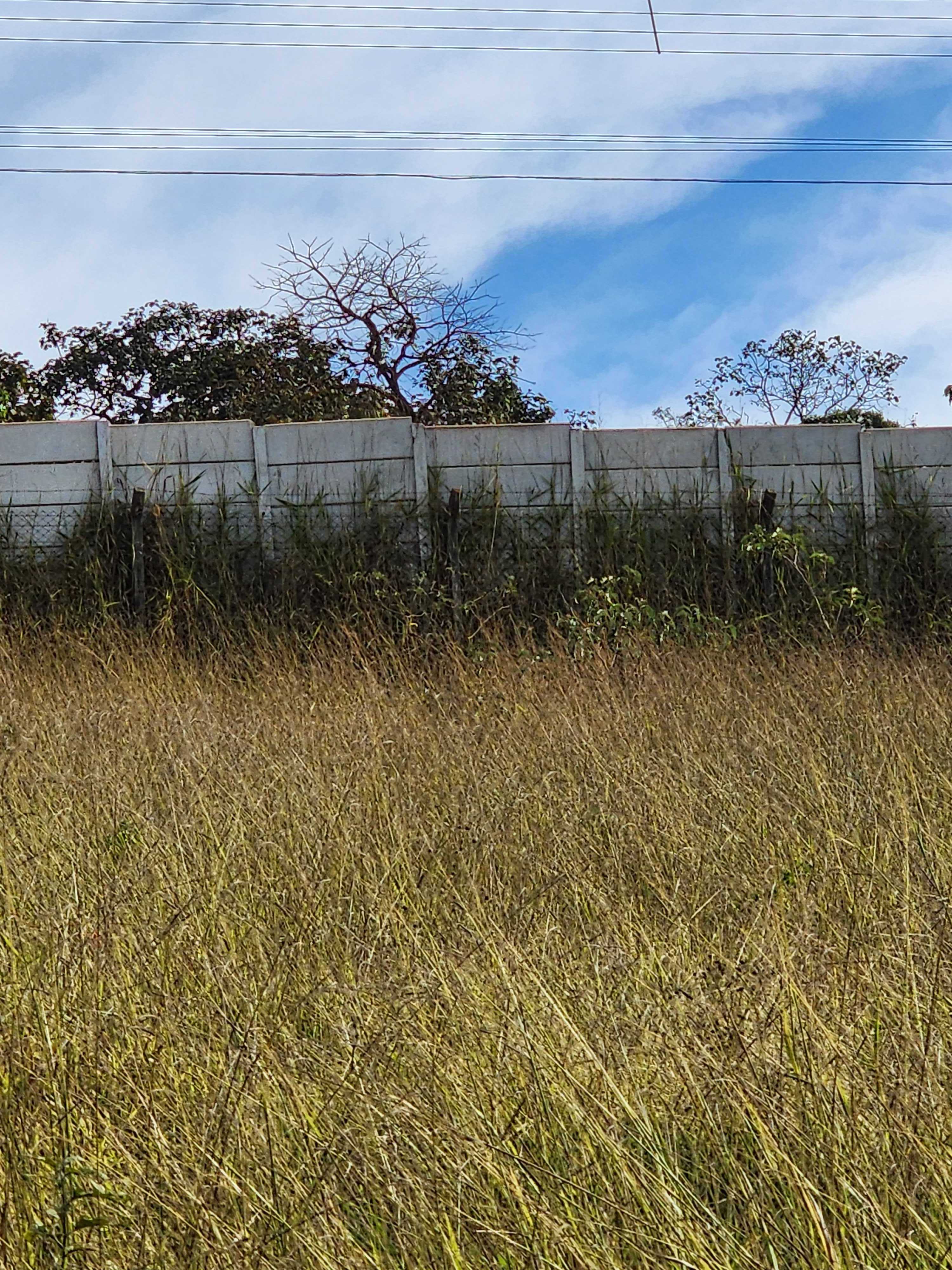 Terreno à venda, 1000m² - Foto 6