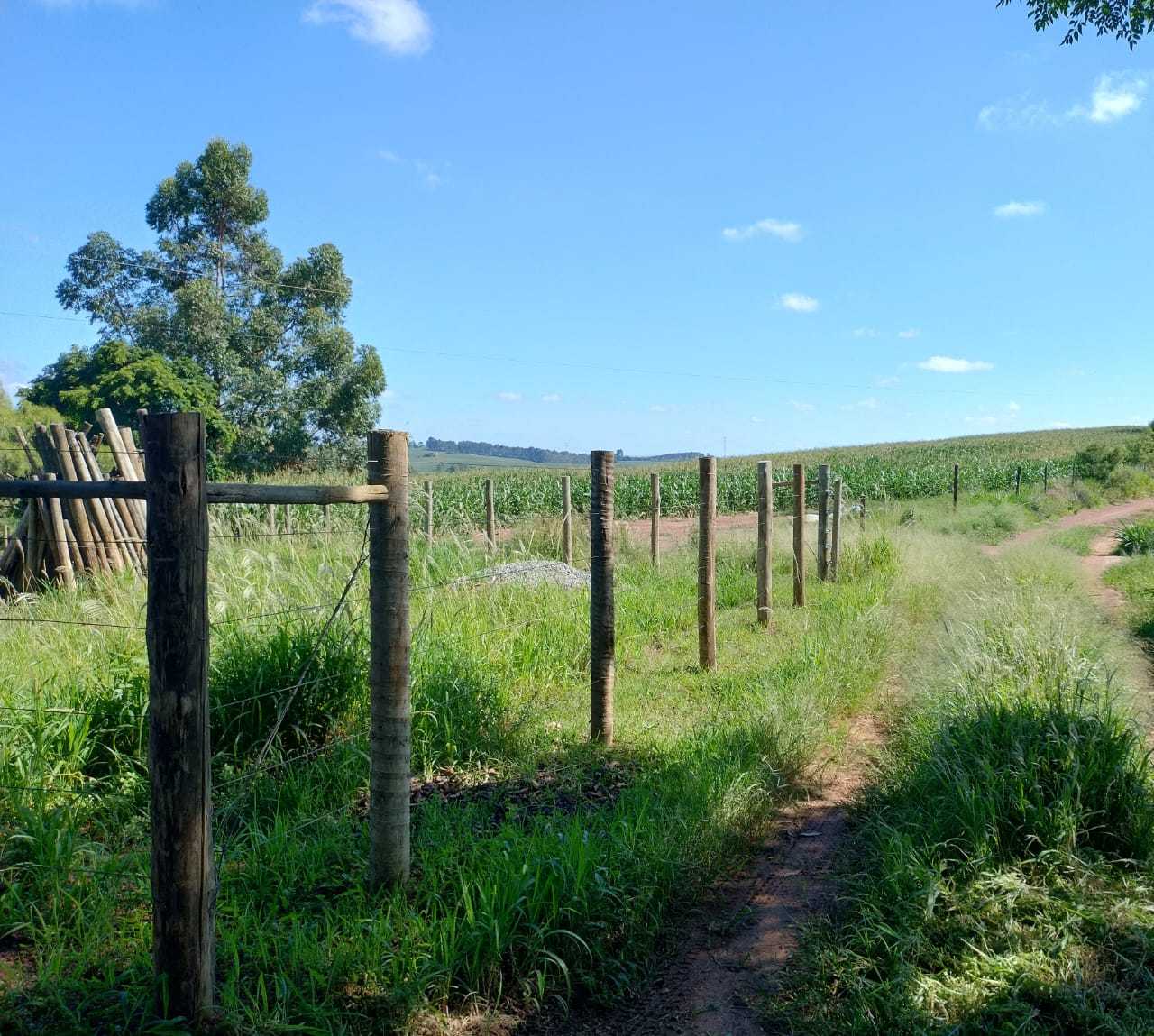 Chácara à venda com 3 quartos, 396000m² - Foto 20