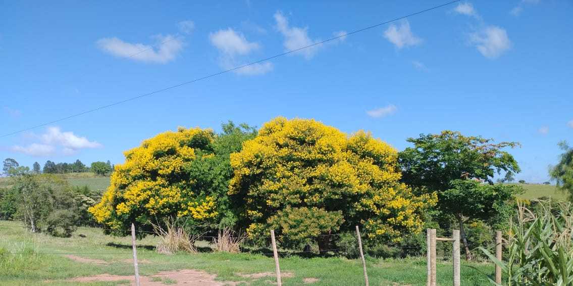 Chácara à venda com 3 quartos, 396000m² - Foto 18