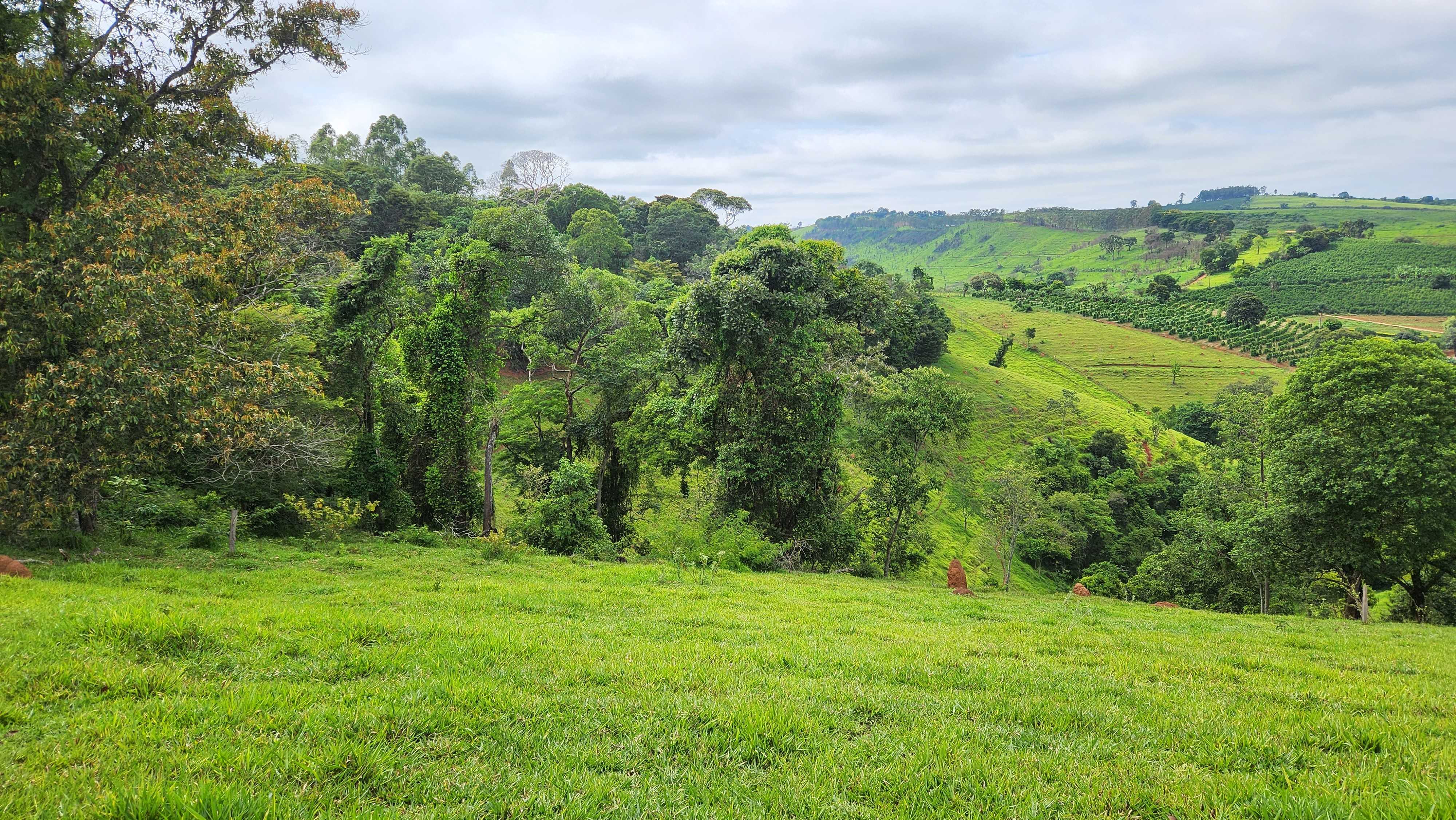 Chácara à venda com 1 quarto, 5566000m² - Foto 5