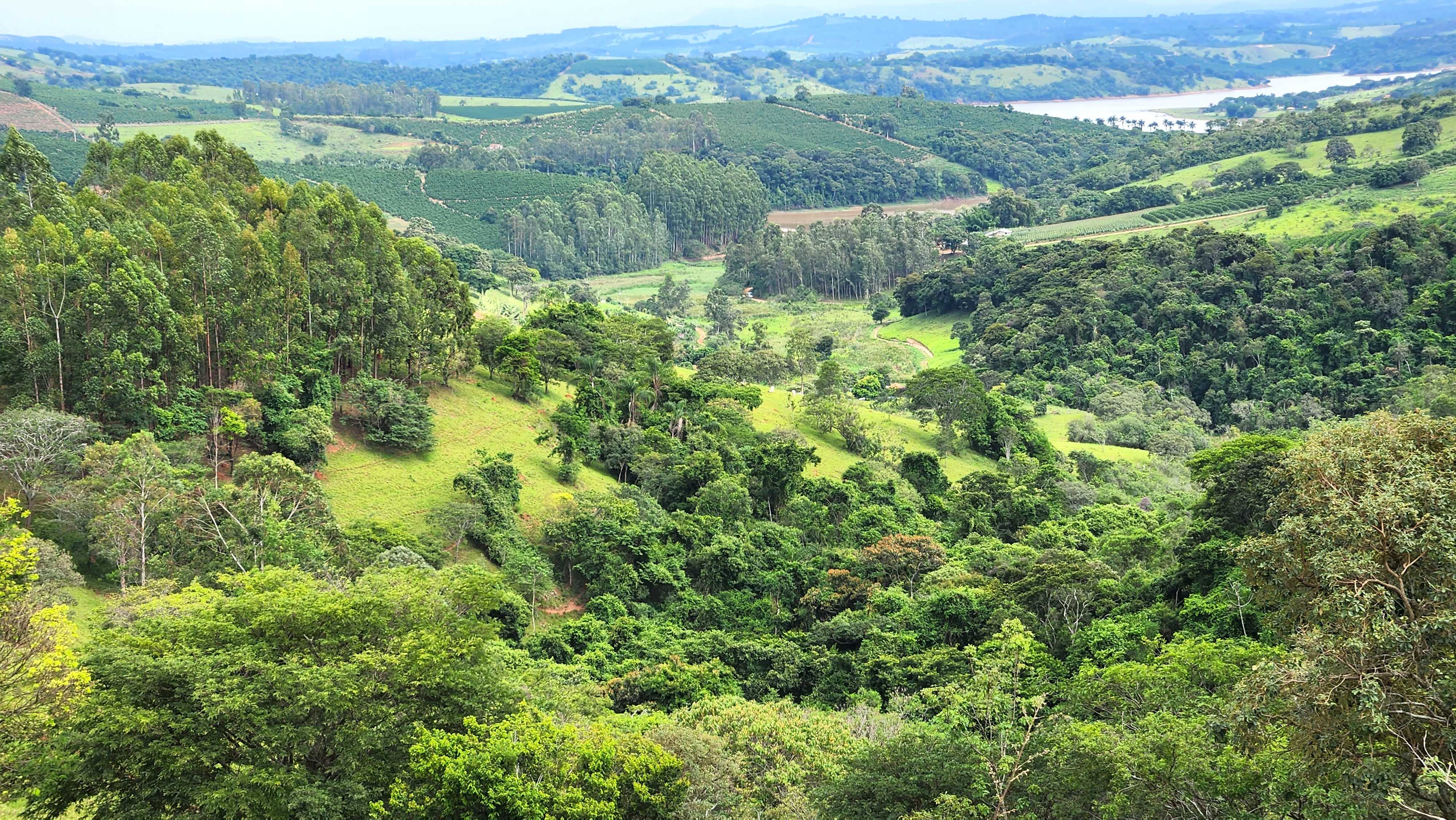 Chácara à venda com 1 quarto, 5566000m² - Foto 4