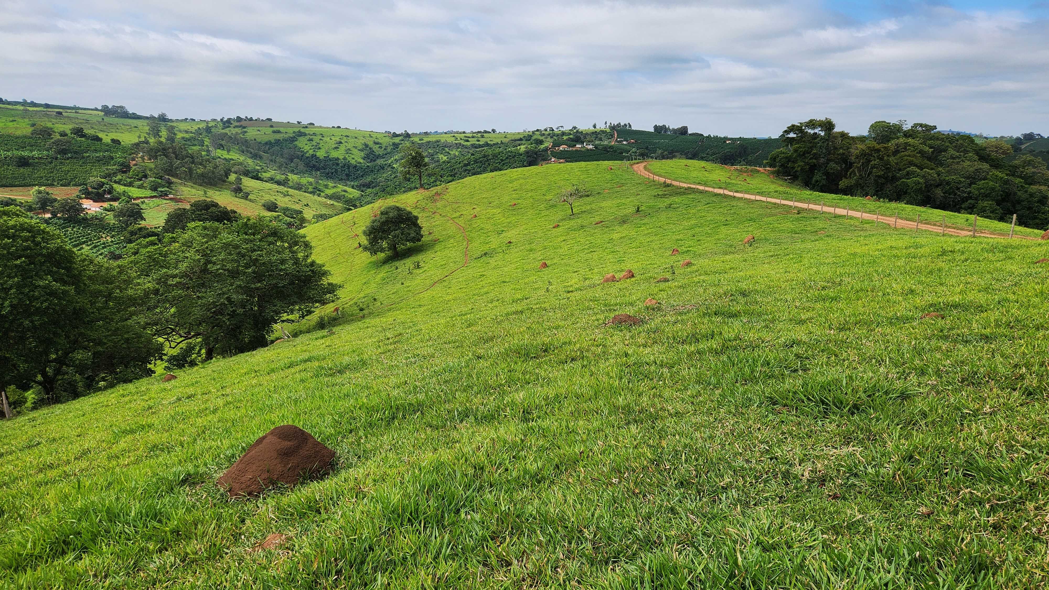 Chácara à venda com 1 quarto, 5566000m² - Foto 6