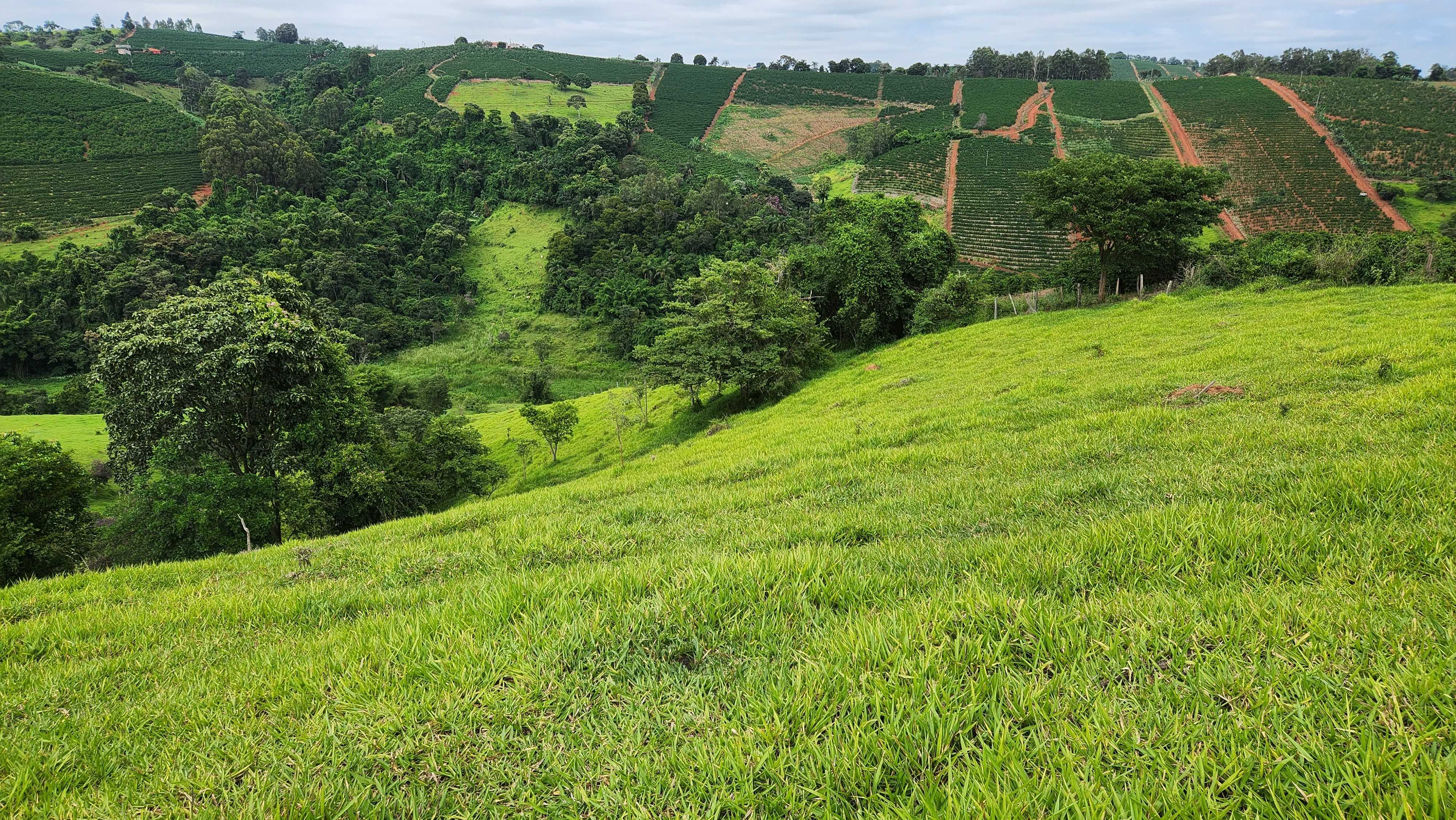 Chácara à venda com 1 quarto, 5566000m² - Foto 15