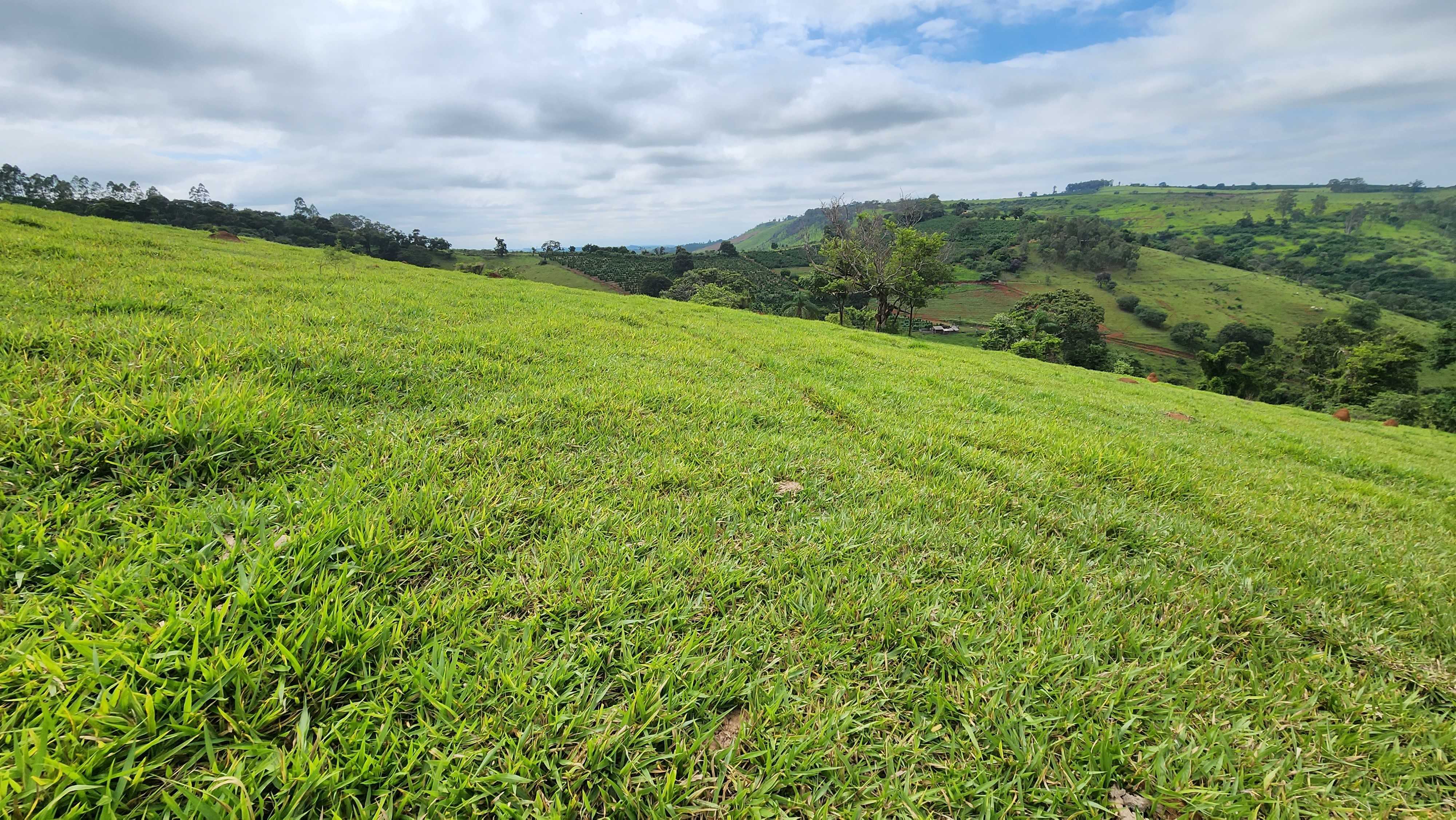 Chácara à venda com 1 quarto, 5566000m² - Foto 11