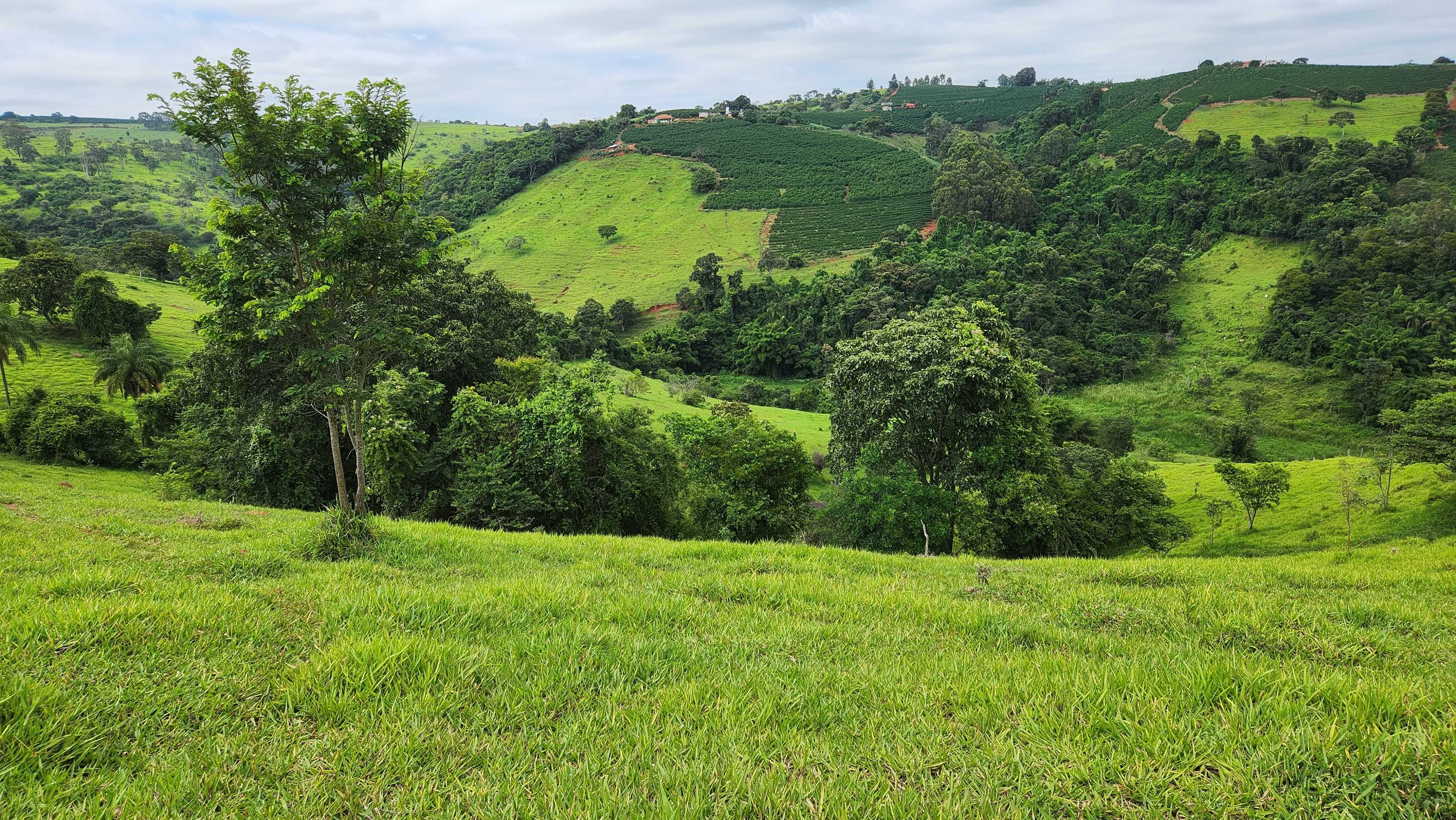 Chácara à venda com 1 quarto, 5566000m² - Foto 17