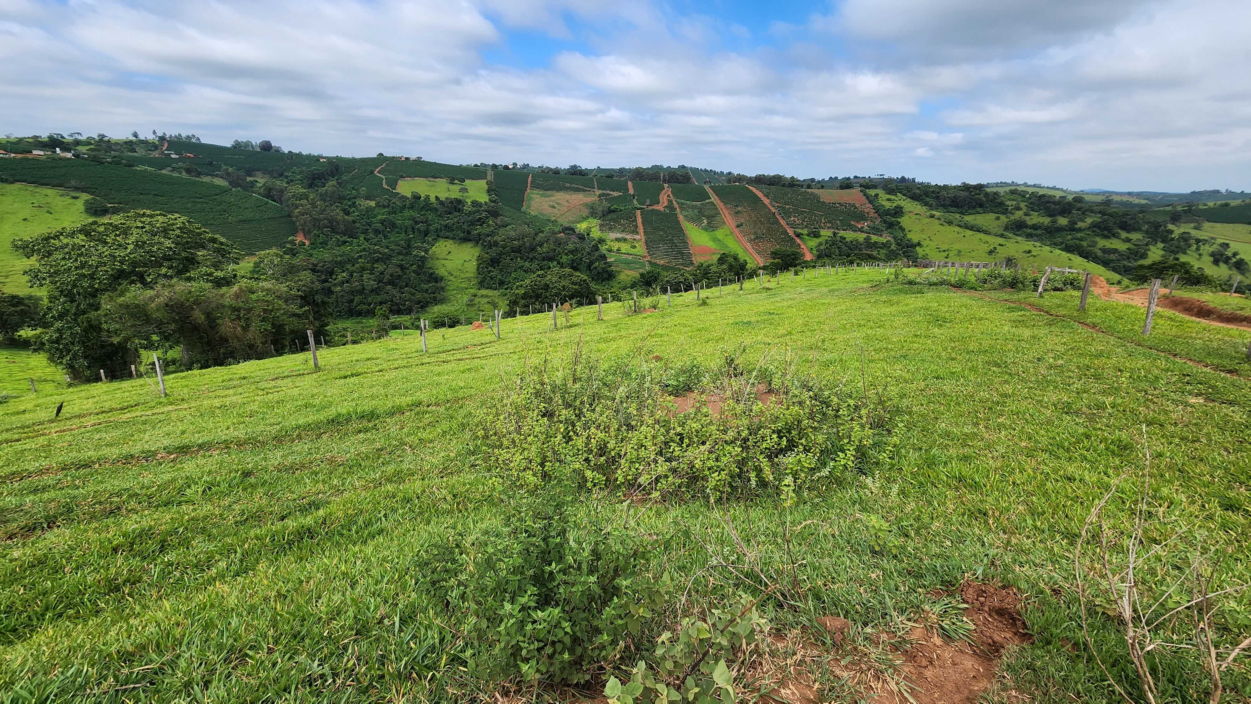 Chácara à venda com 1 quarto, 5566000m² - Foto 13