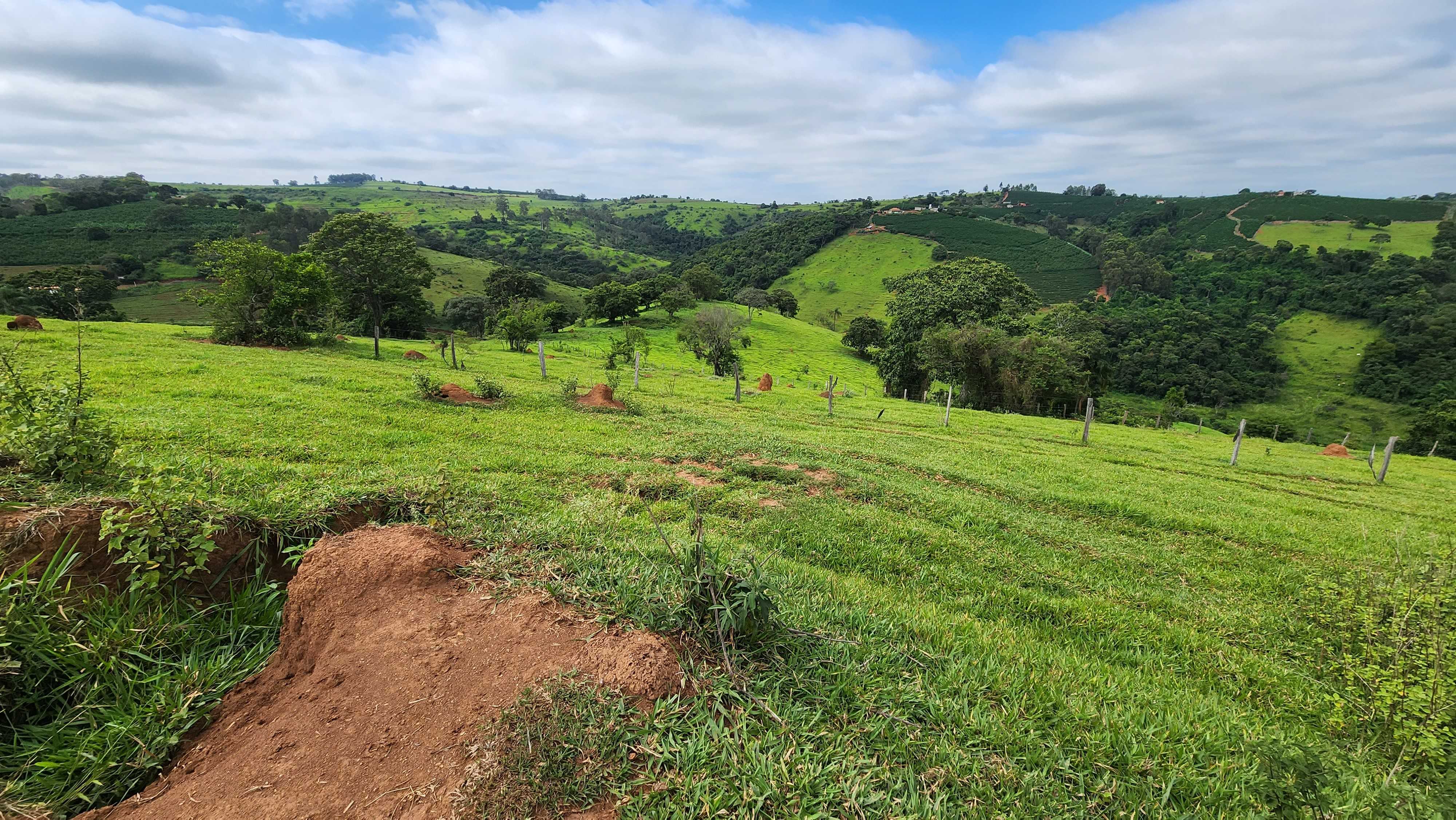 Chácara à venda com 1 quarto, 5566000m² - Foto 12