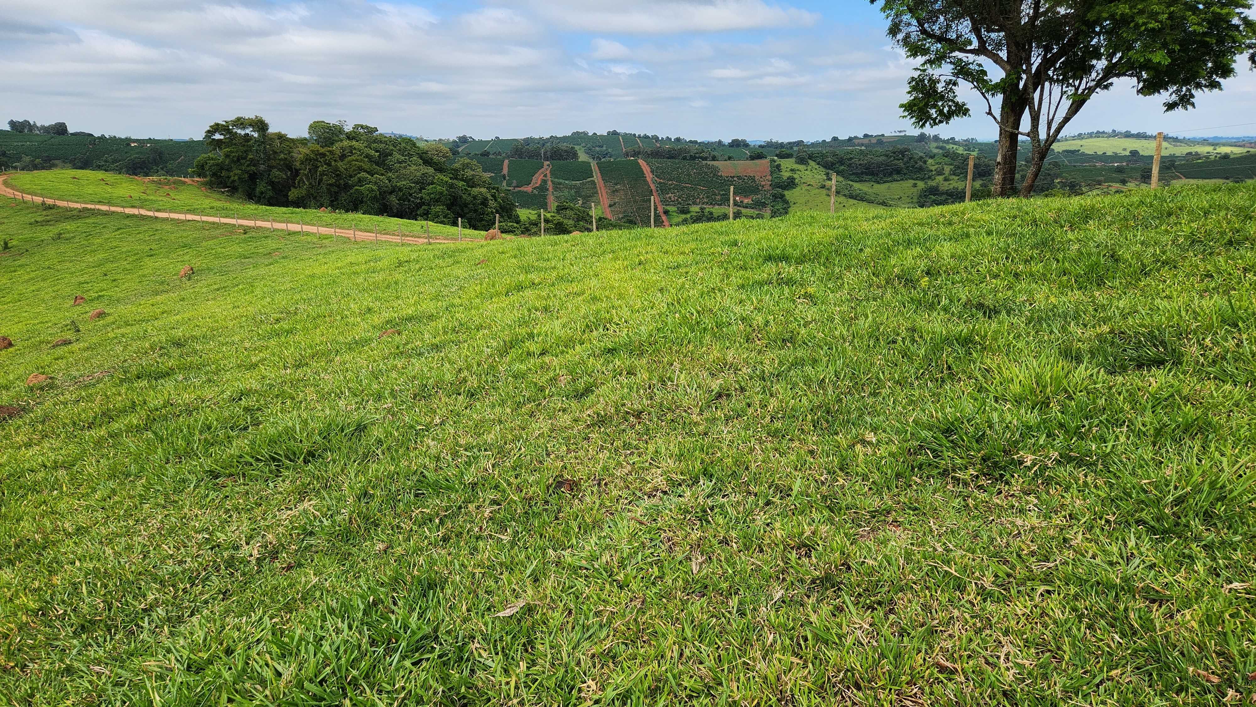 Chácara à venda com 1 quarto, 5566000m² - Foto 7