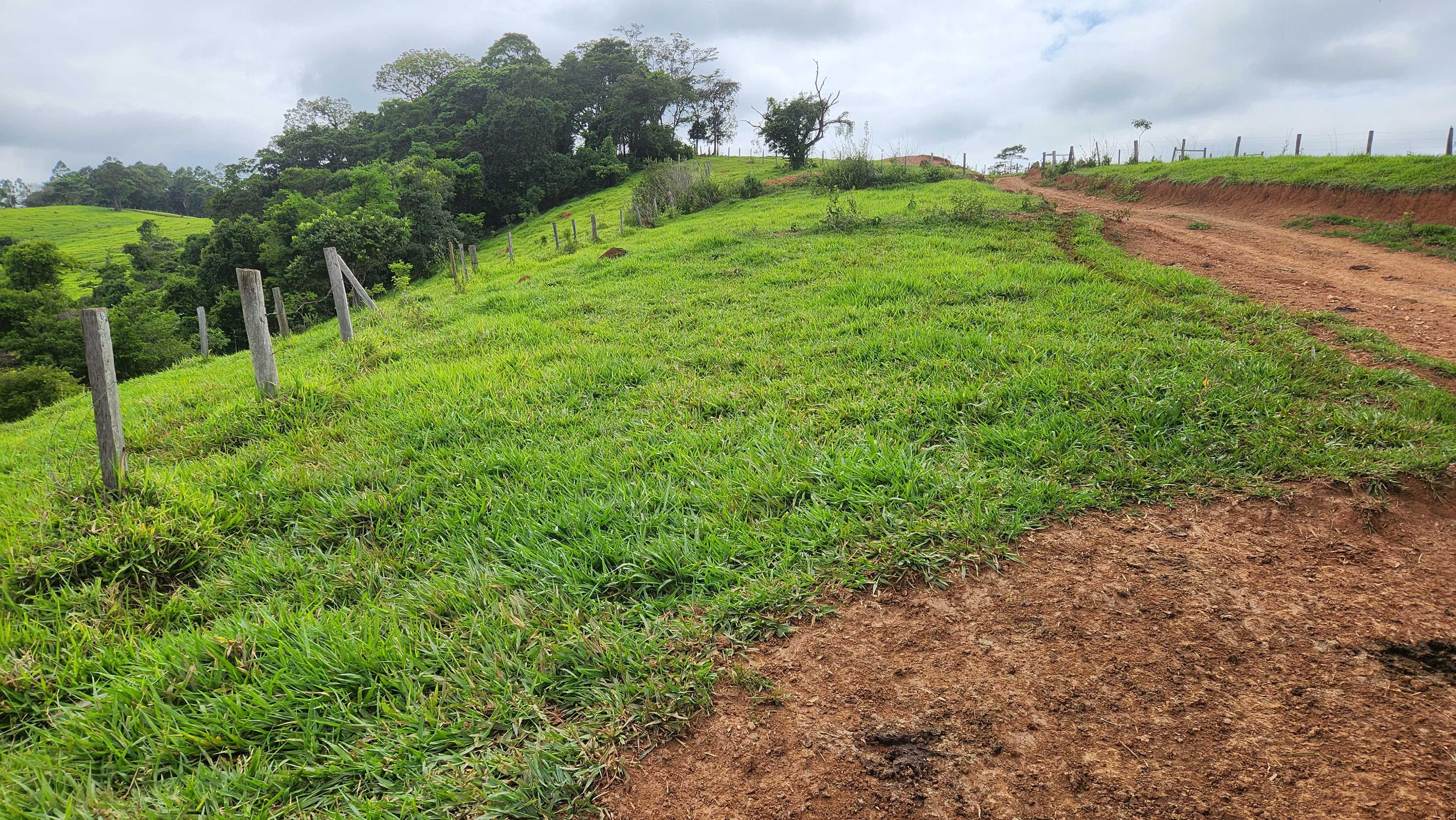 Chácara à venda com 1 quarto, 5566000m² - Foto 18