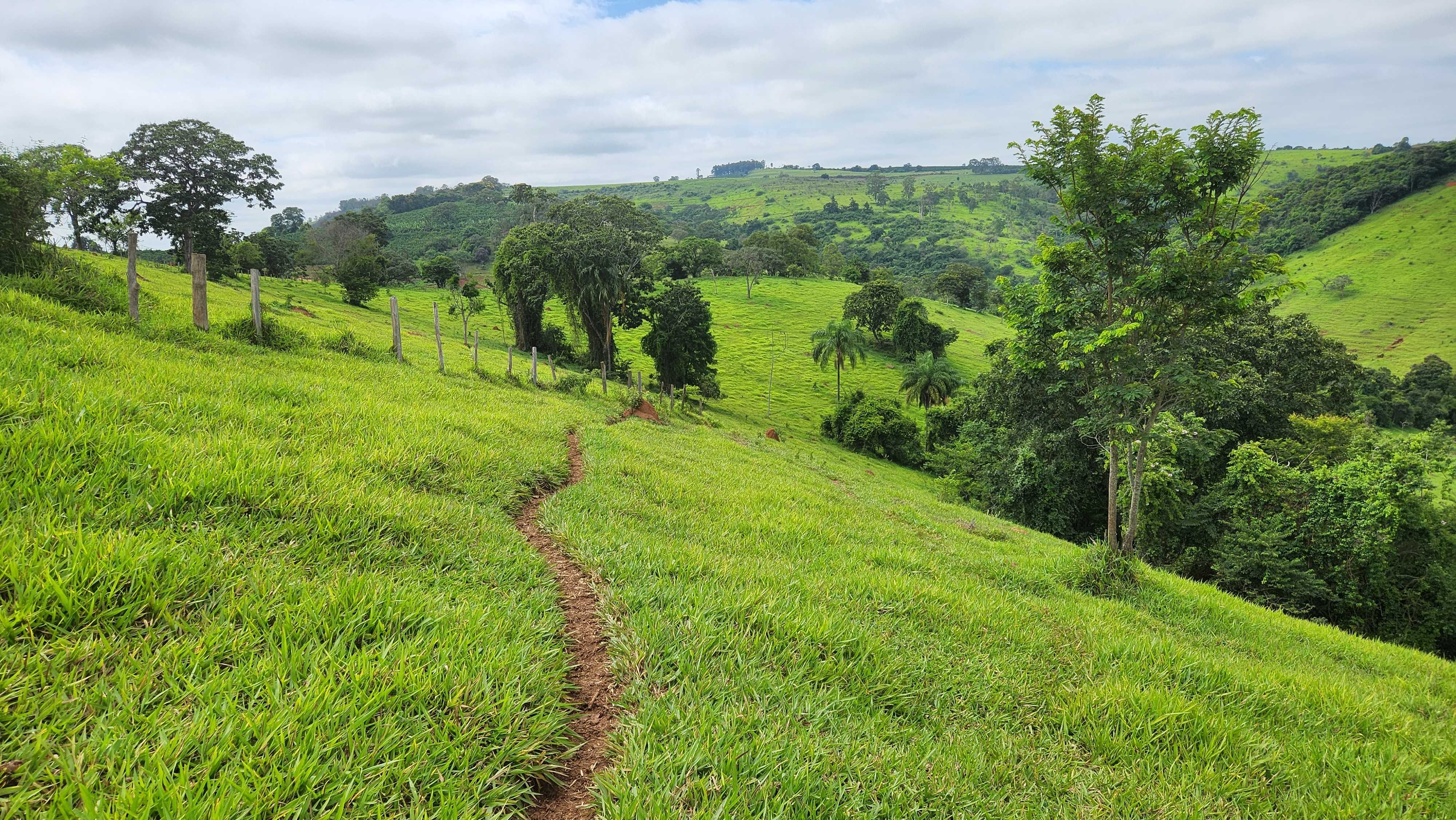 Chácara à venda com 1 quarto, 5566000m² - Foto 16