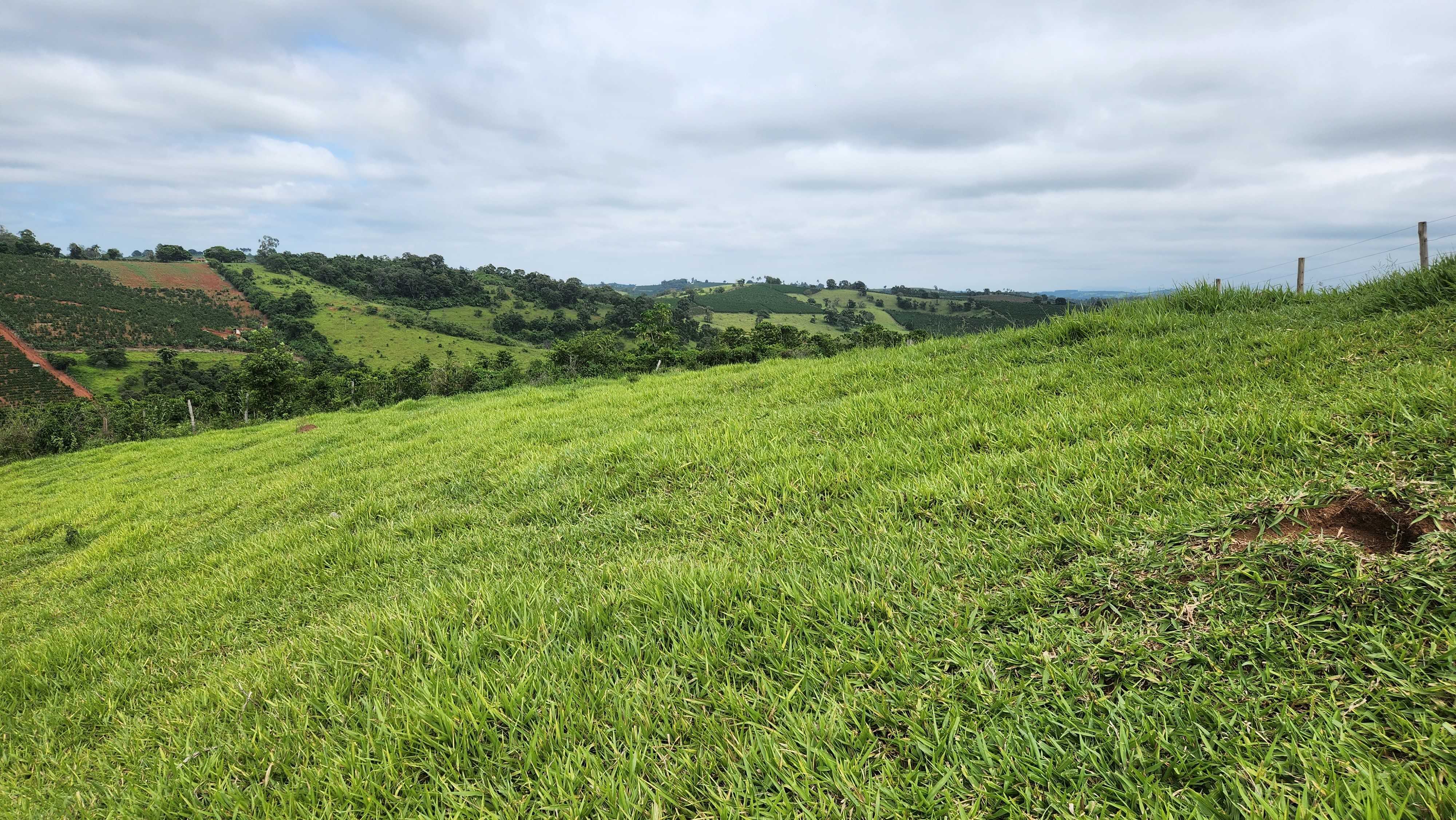 Chácara à venda com 1 quarto, 5566000m² - Foto 14