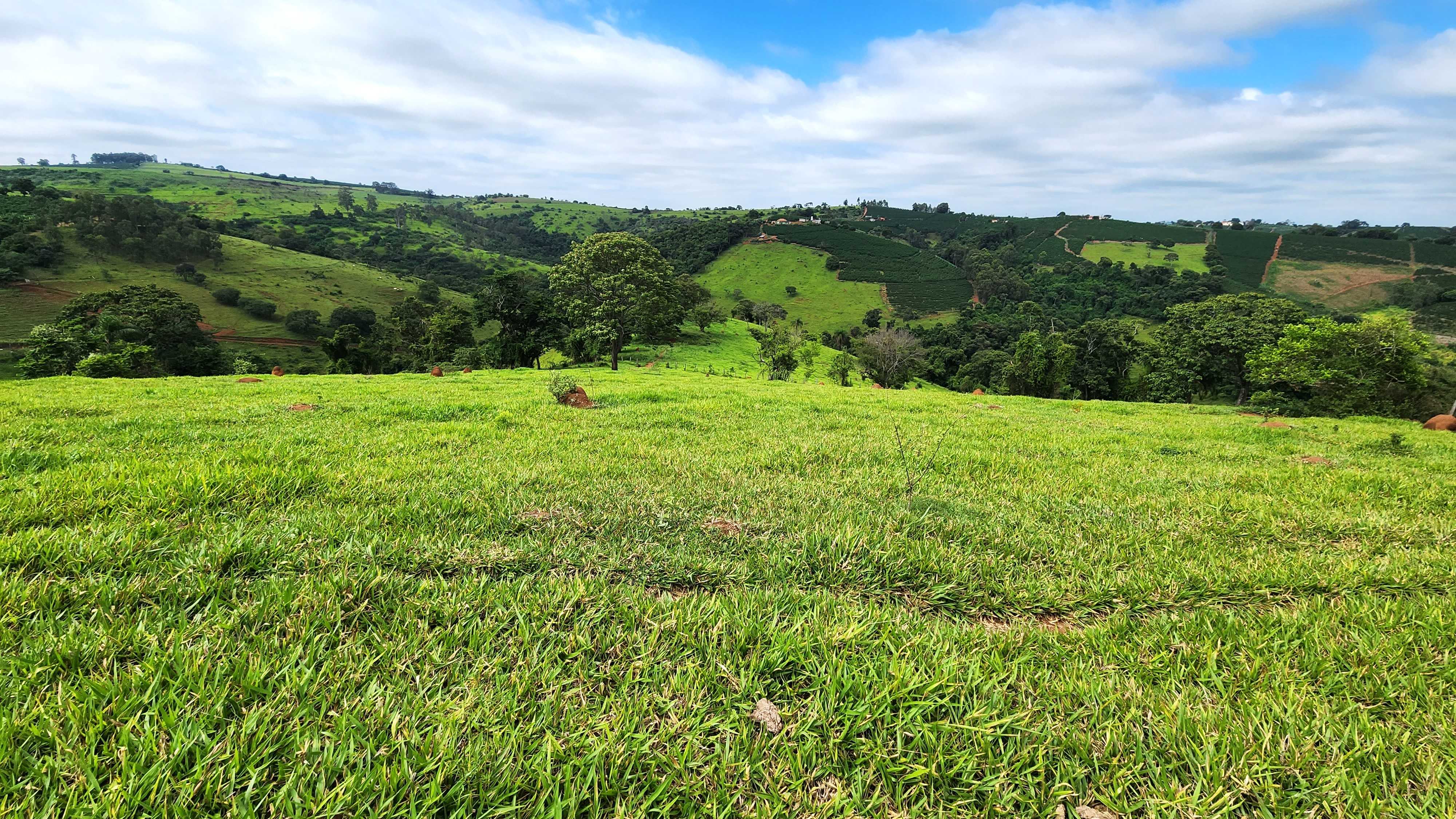 Chácara à venda com 1 quarto, 5566000m² - Foto 10