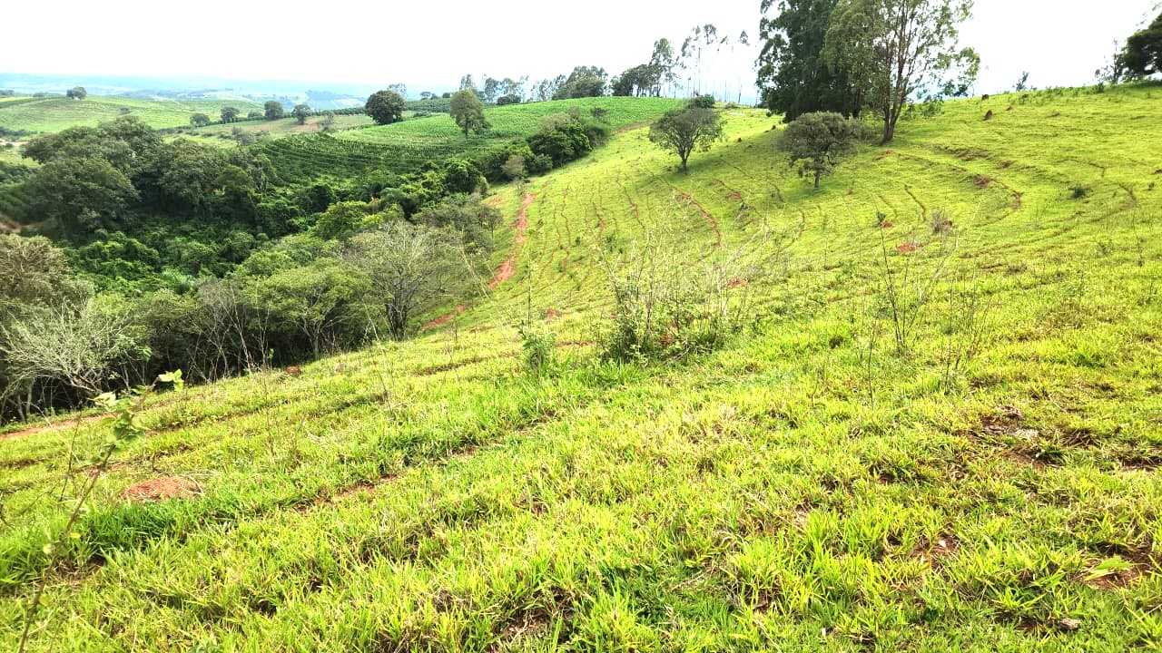 Chácara à venda com 1 quarto, 5566000m² - Foto 9