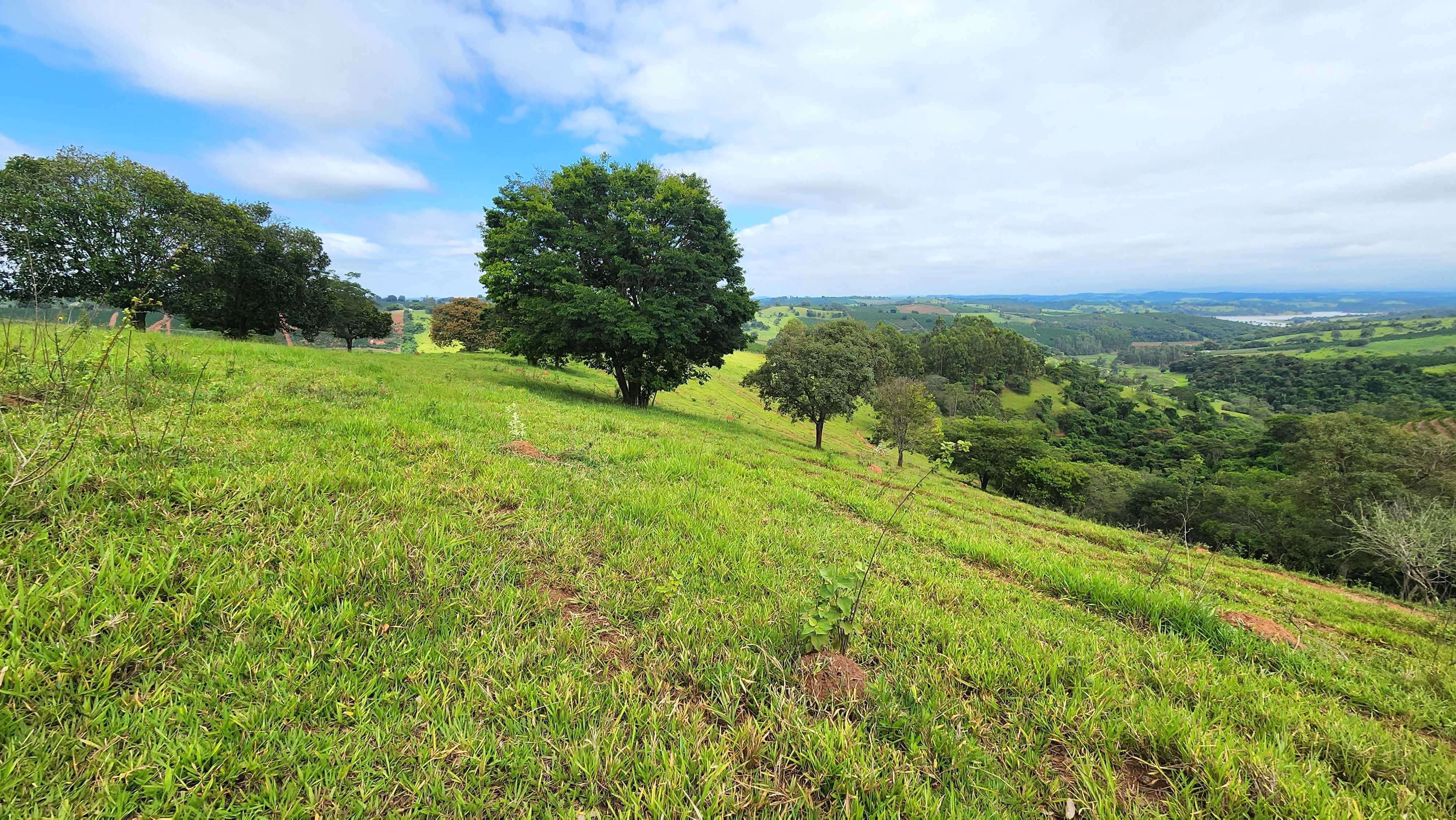 Chácara à venda com 1 quarto, 5566000m² - Foto 3