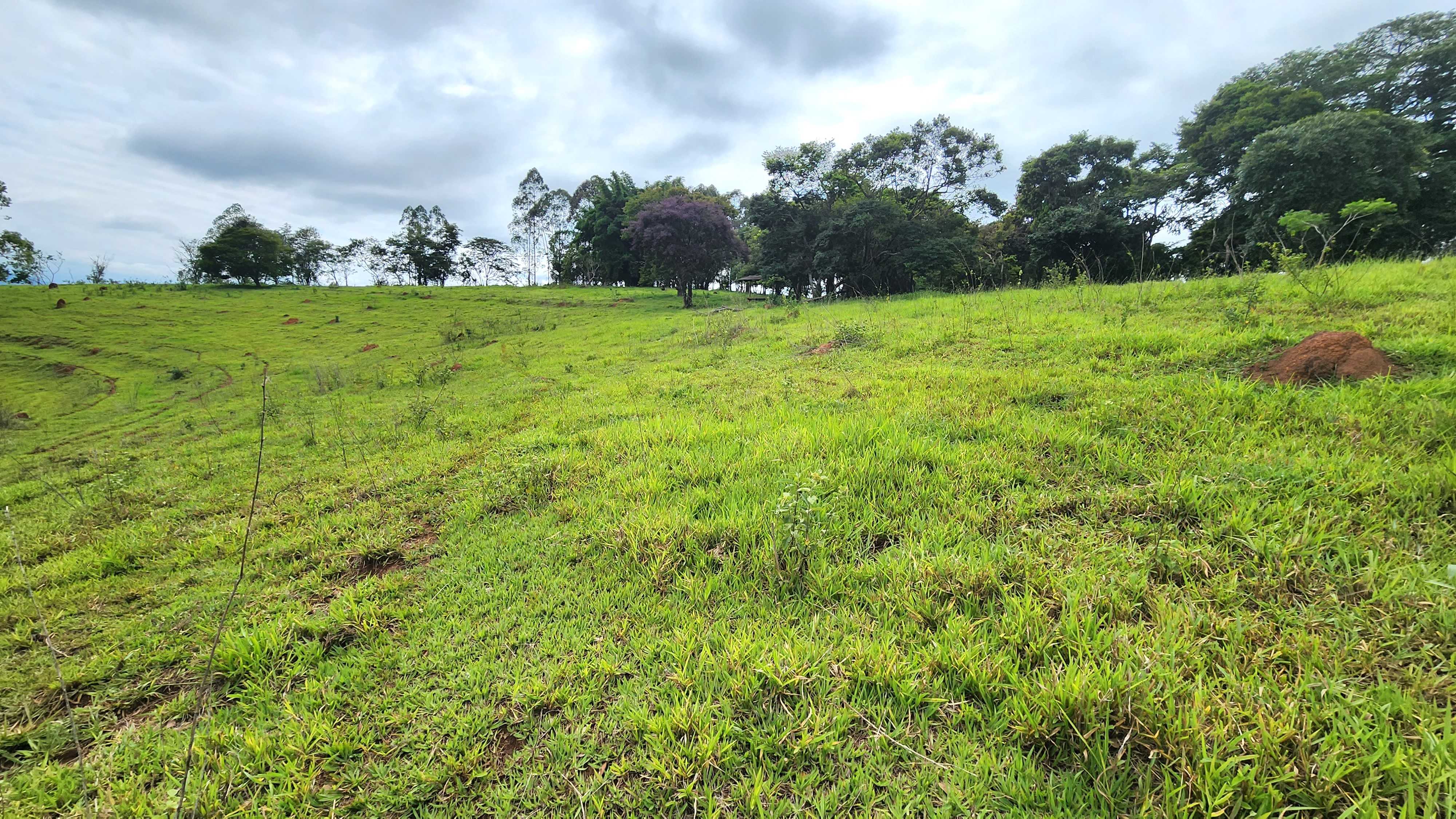 Chácara à venda com 1 quarto, 5566000m² - Foto 2