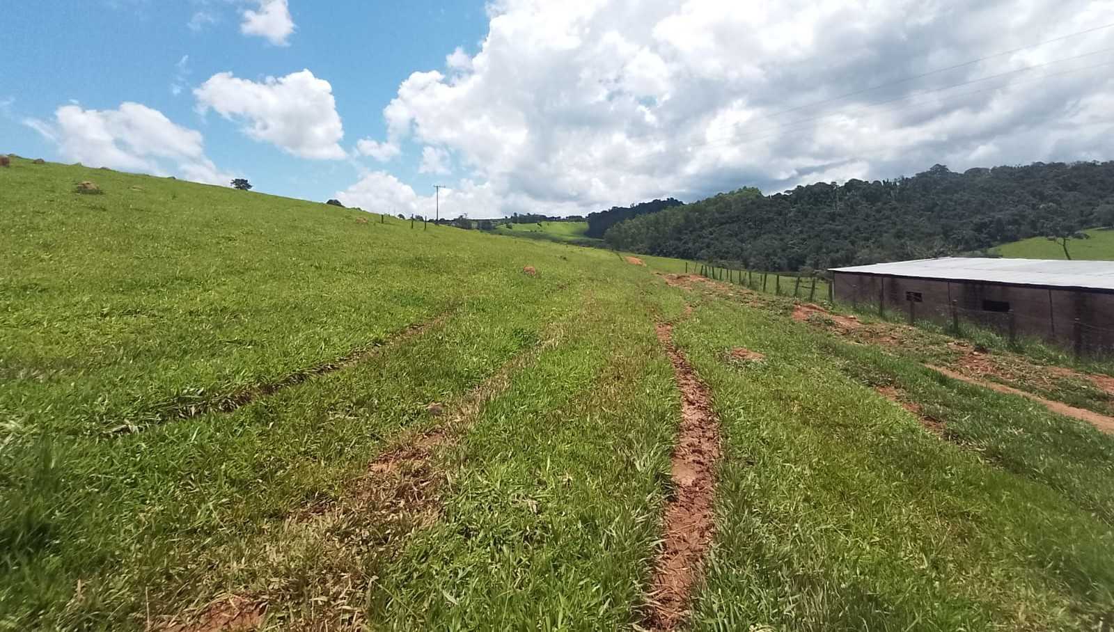 Chácara à venda com 3 quartos, 1700000m² - Foto 16