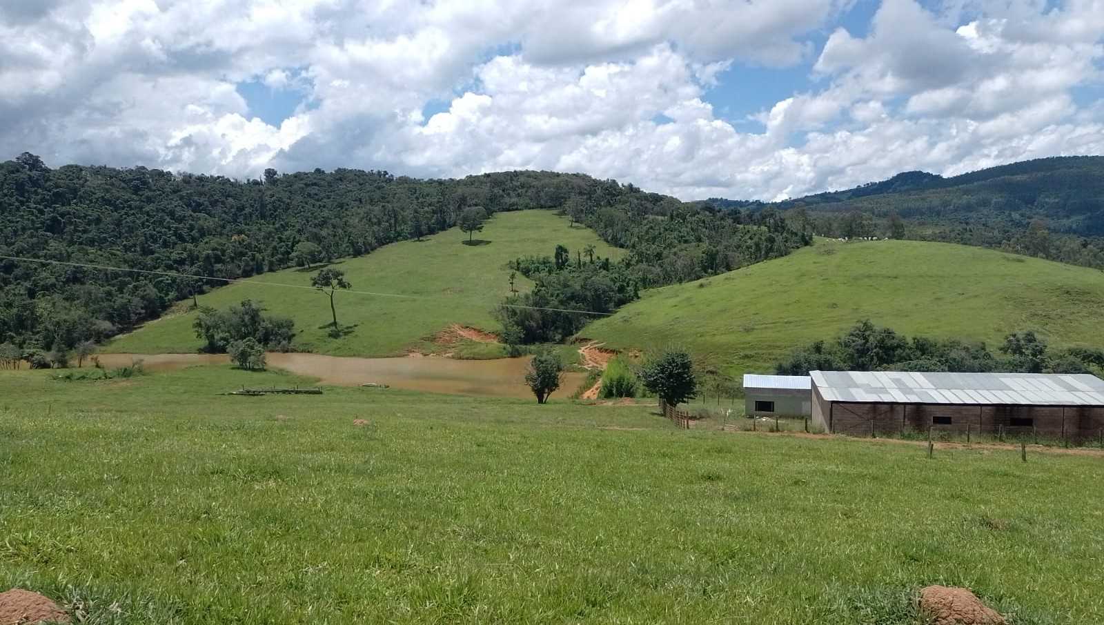 Chácara à venda com 3 quartos, 1700000m² - Foto 21