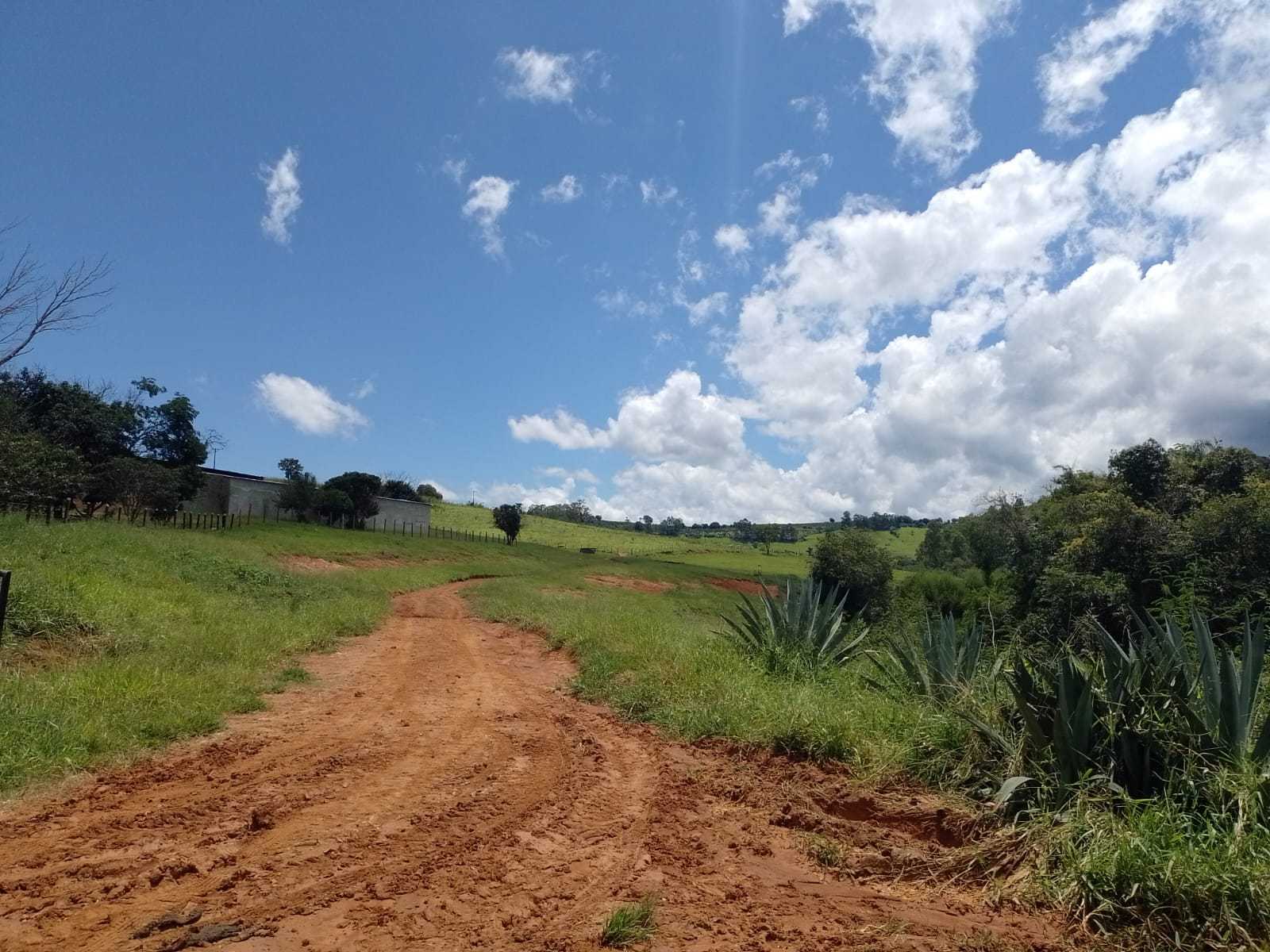 Chácara à venda com 3 quartos, 1700000m² - Foto 14