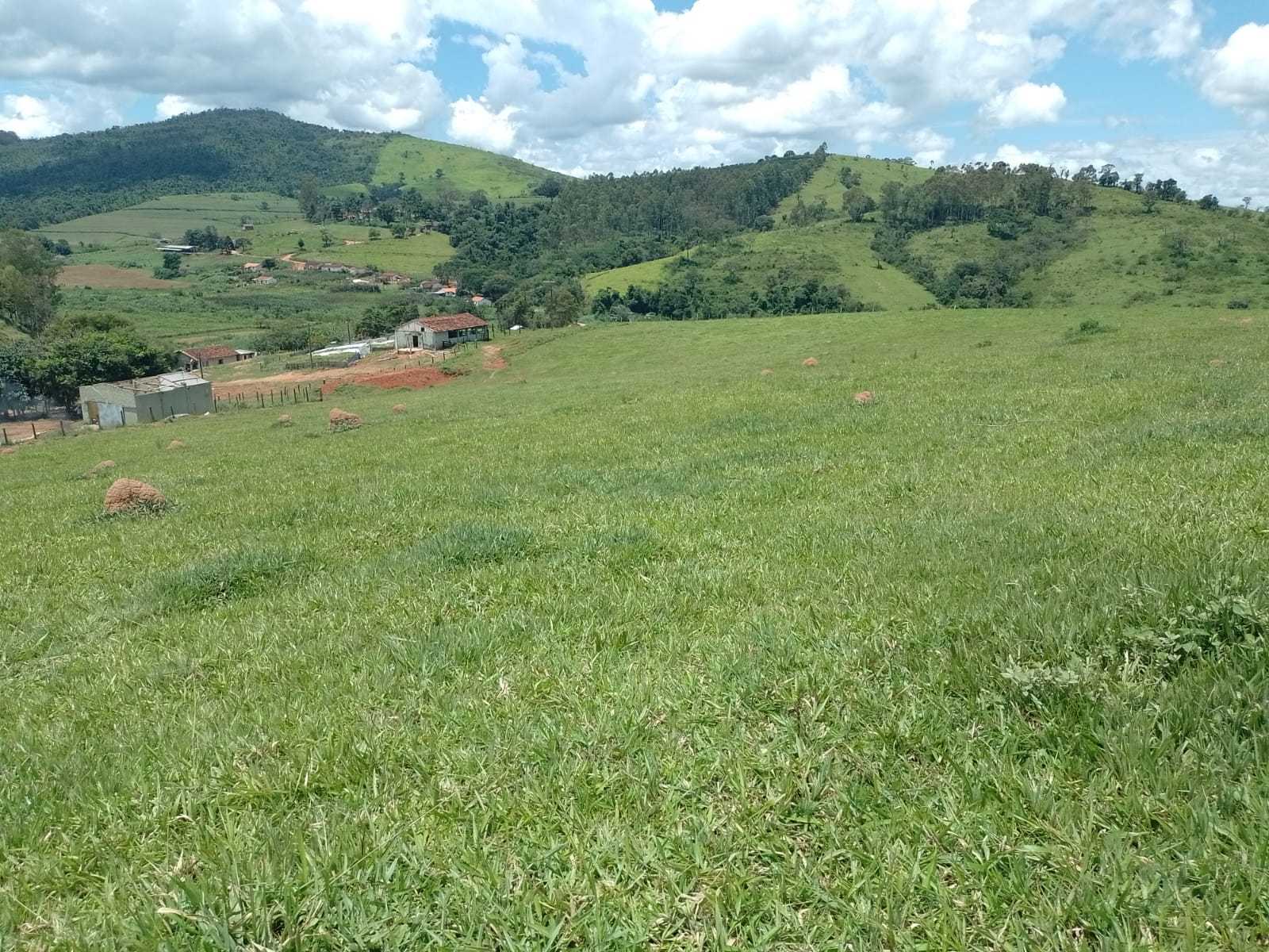 Chácara à venda com 3 quartos, 1700000m² - Foto 19